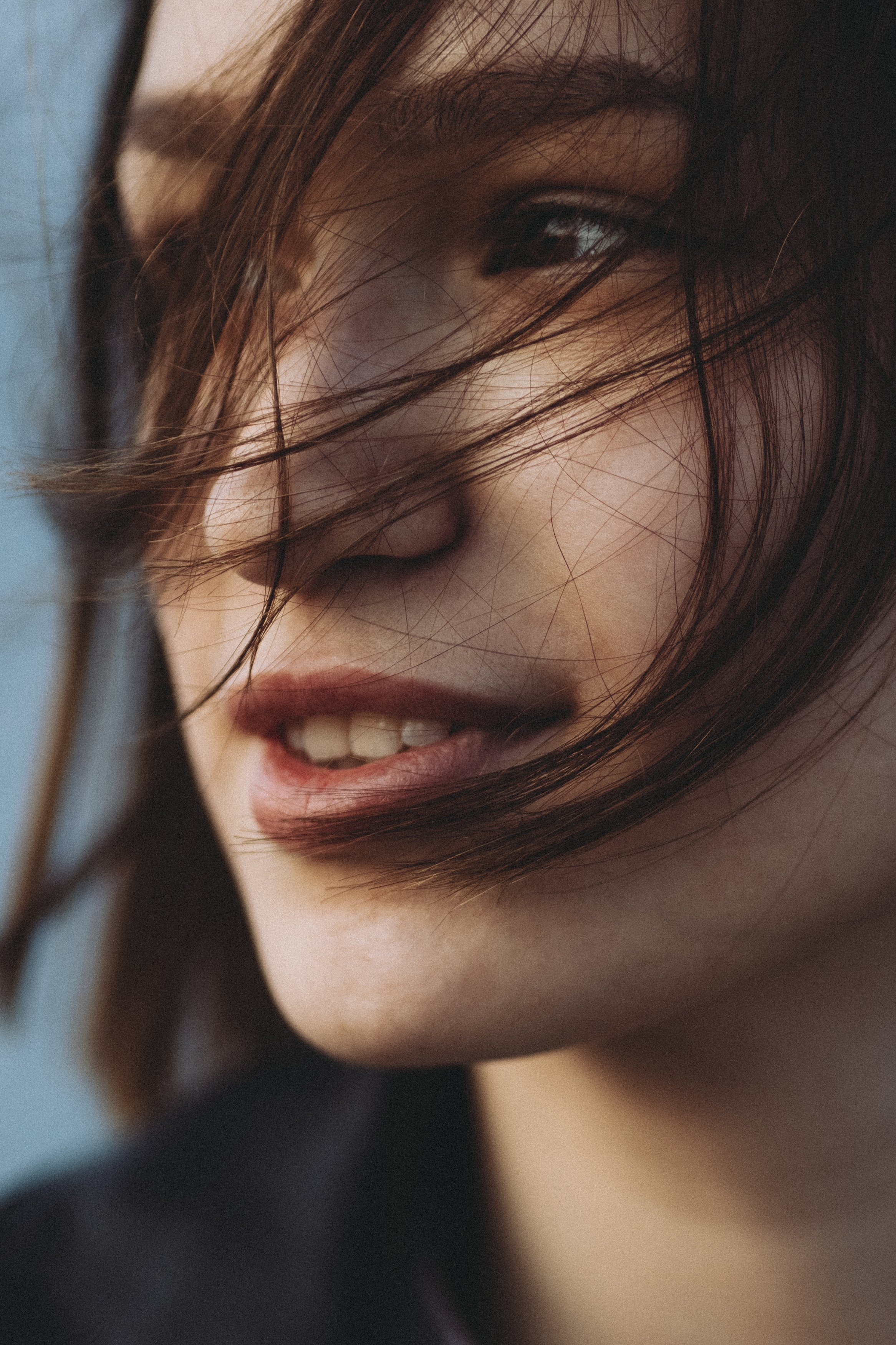 , Дмитрий Арабаджи