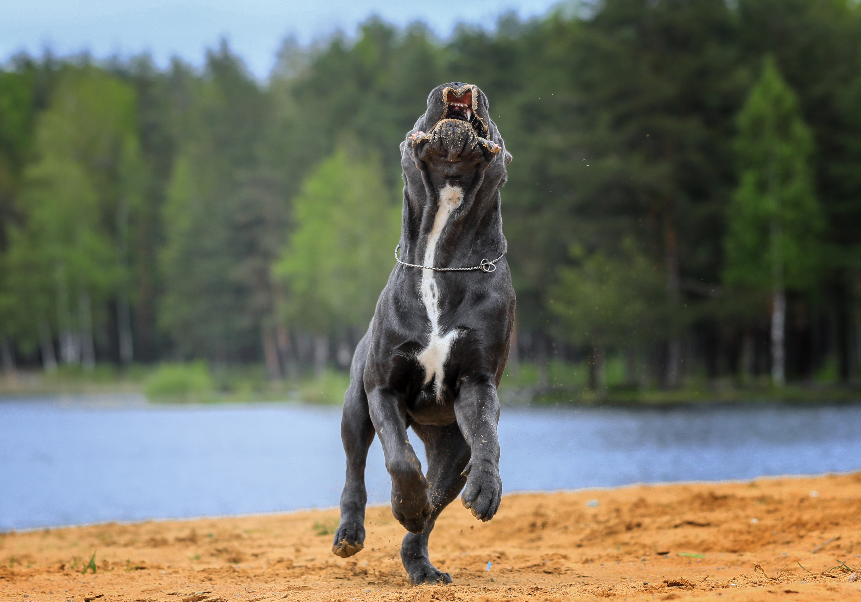 , Андрей Ершов