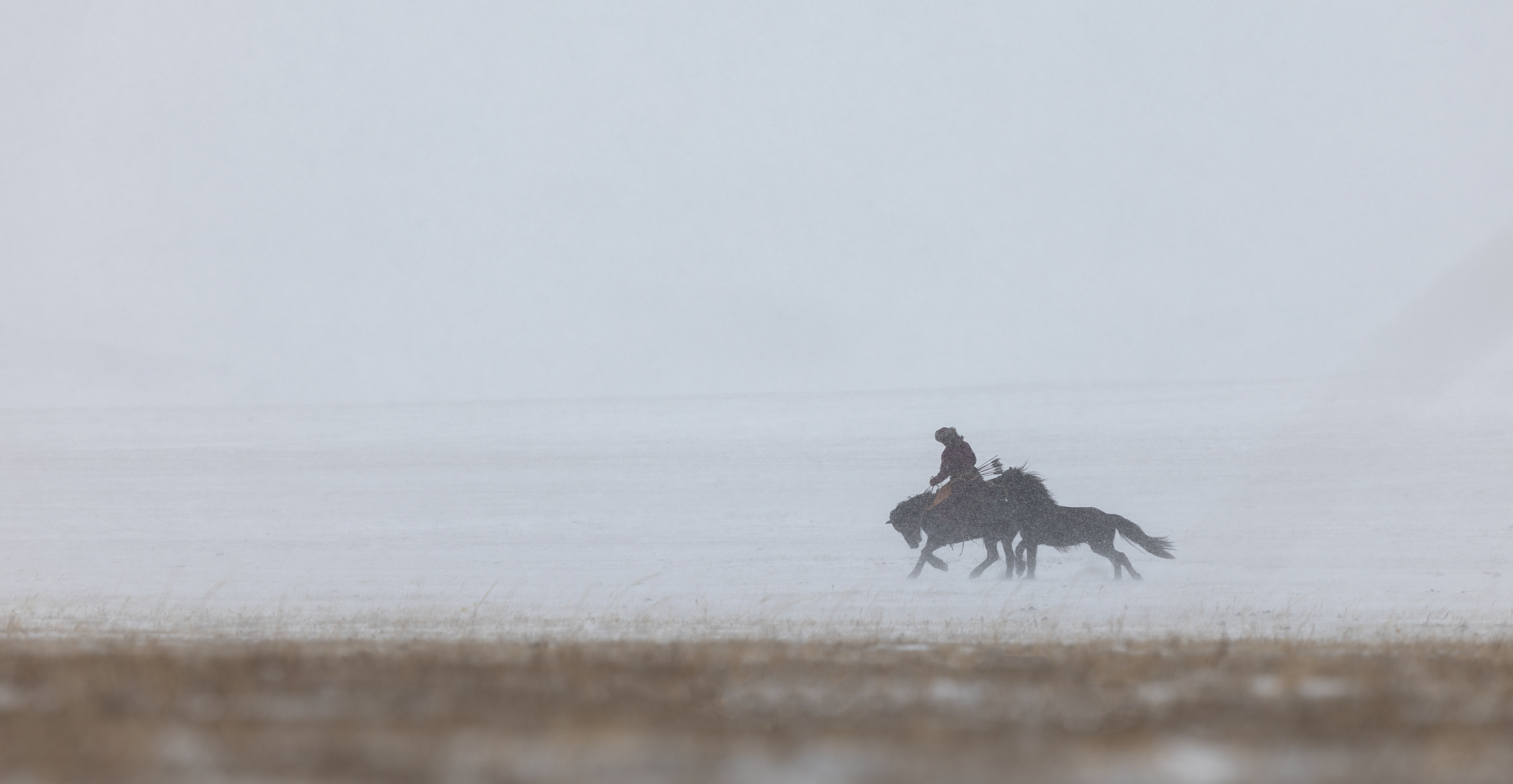 Ancient Mongolian Warrior, ganzorig miimaa