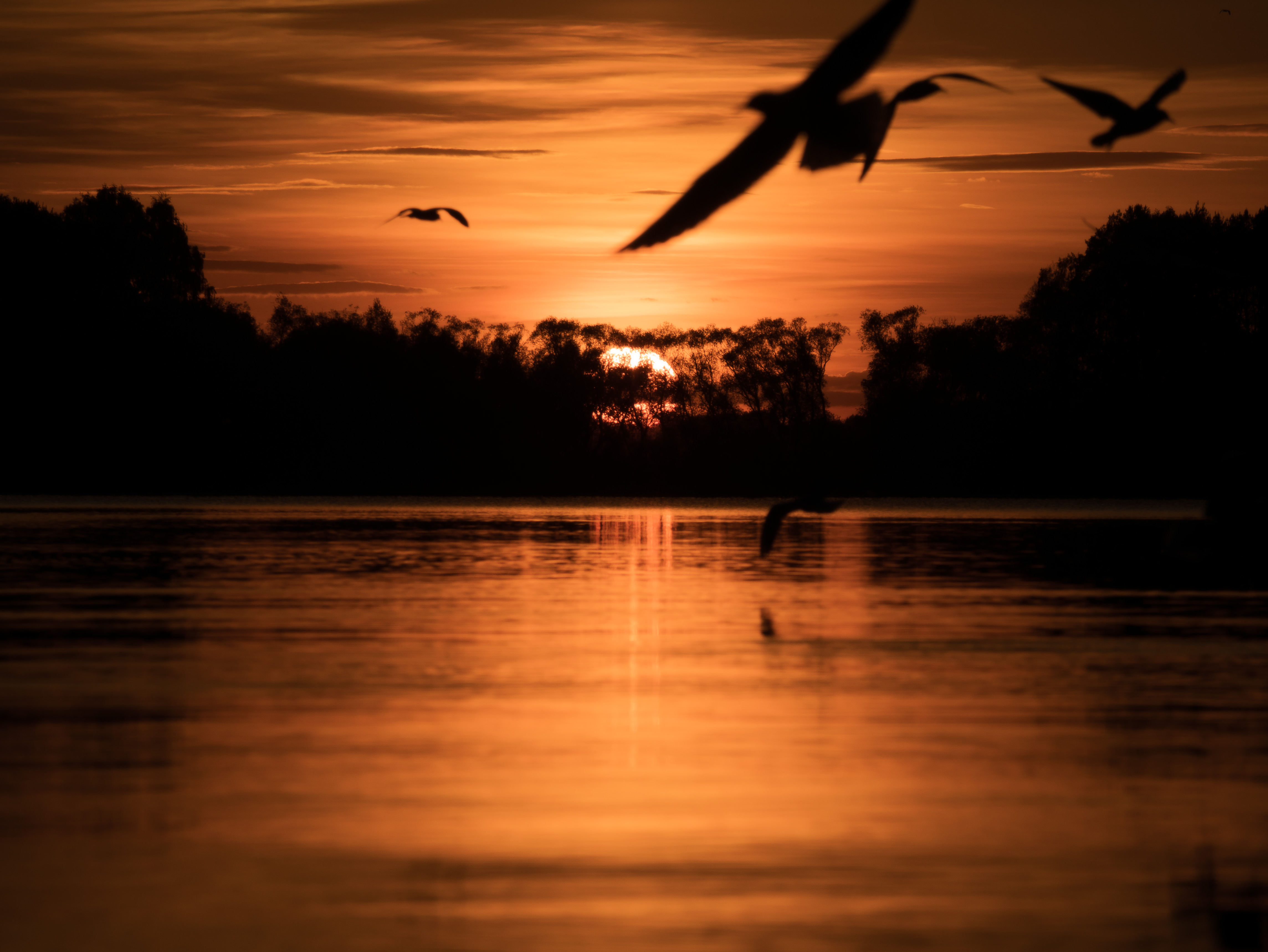 , Врубель Андрей