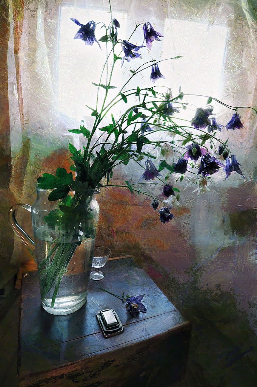 , Ирина Данилова