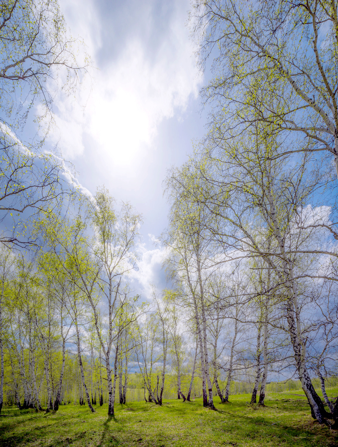 , Шустиков Дмитрий