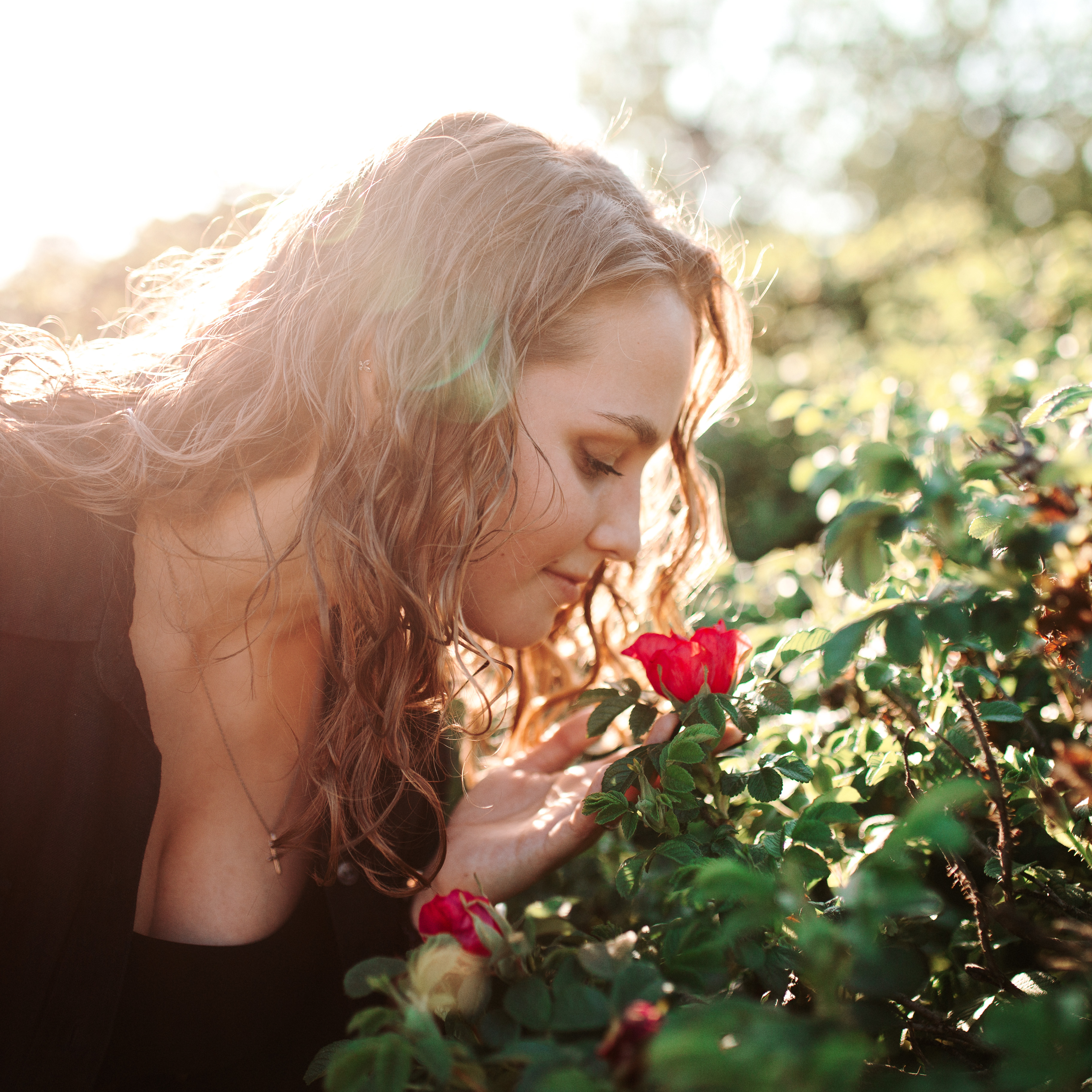 , Дмитрий Плеханов