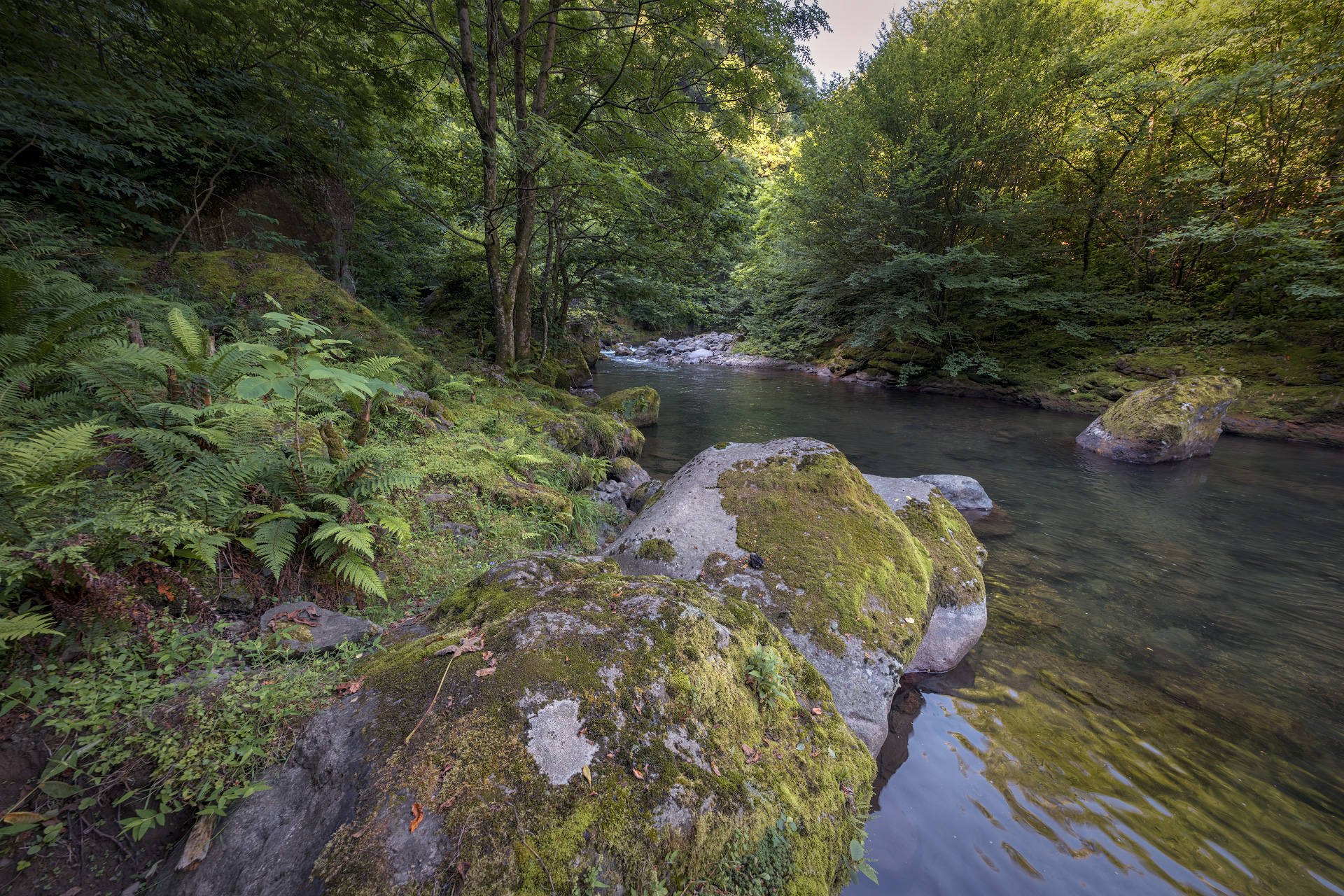 сhakvistskali, river, mtirala, mountains, forest, jungles, nature, landscape, scenery, travel, outdoors, georgia, sakartvelo, adjara, chizh, Чиж Андрей