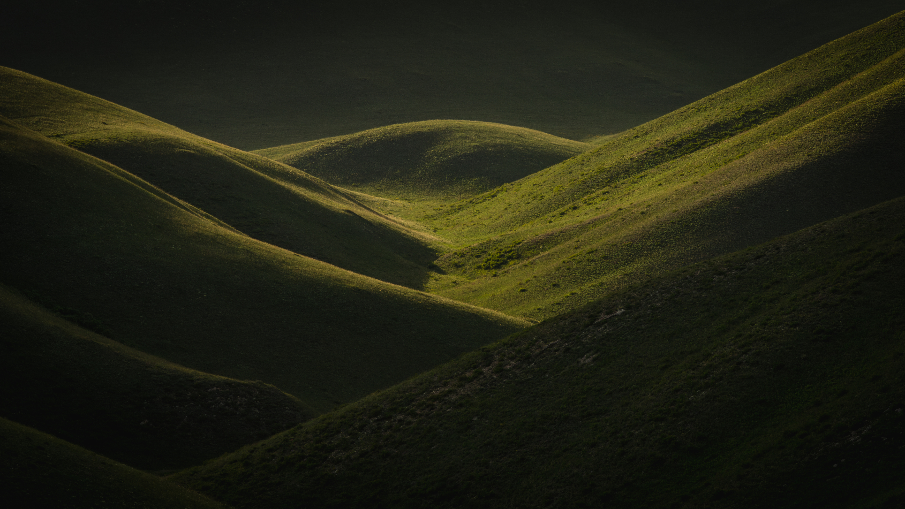 , Денис Туев