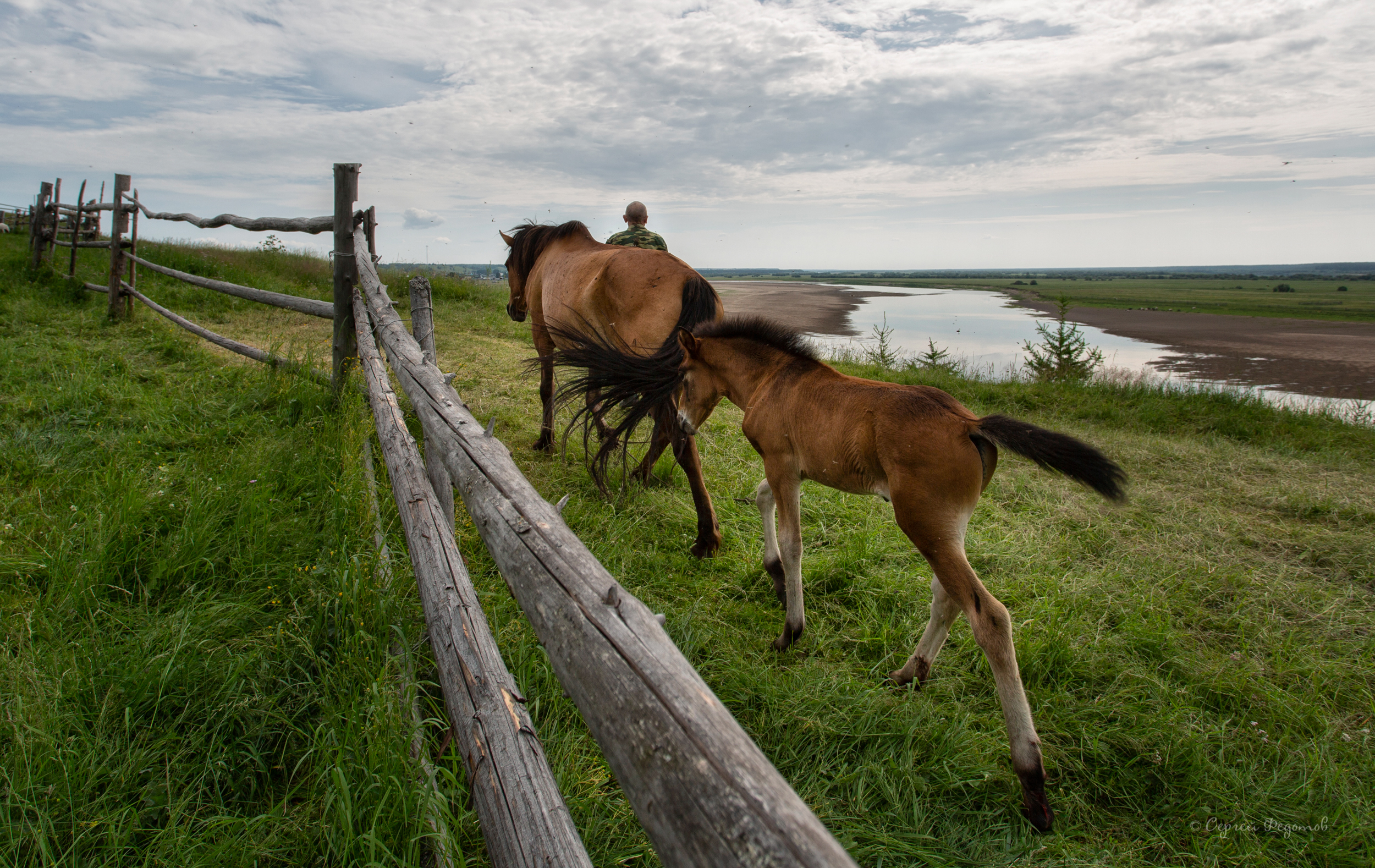 , Федотов Сергей