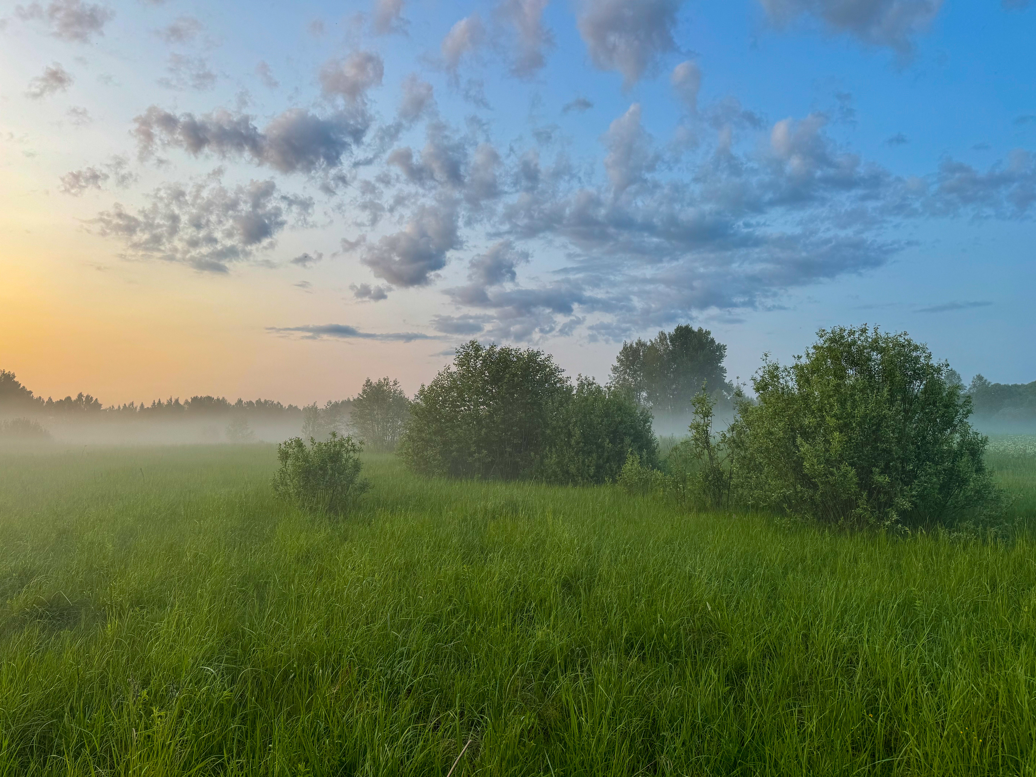 , Ковалев Дмитрий