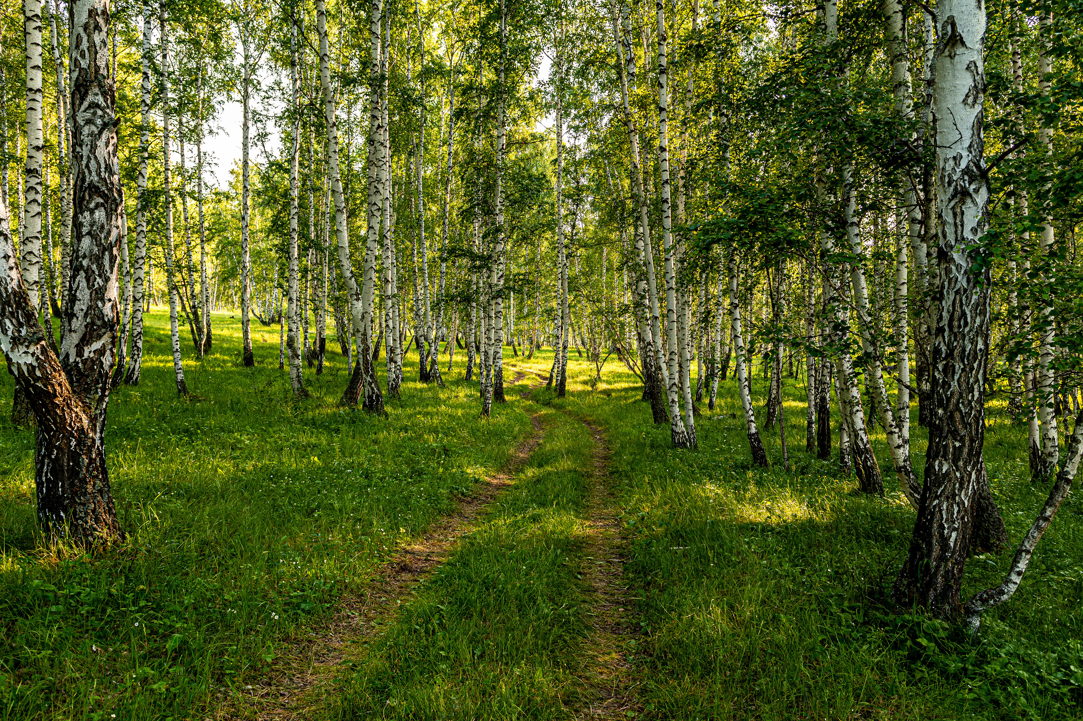 , Андрей Шарапов