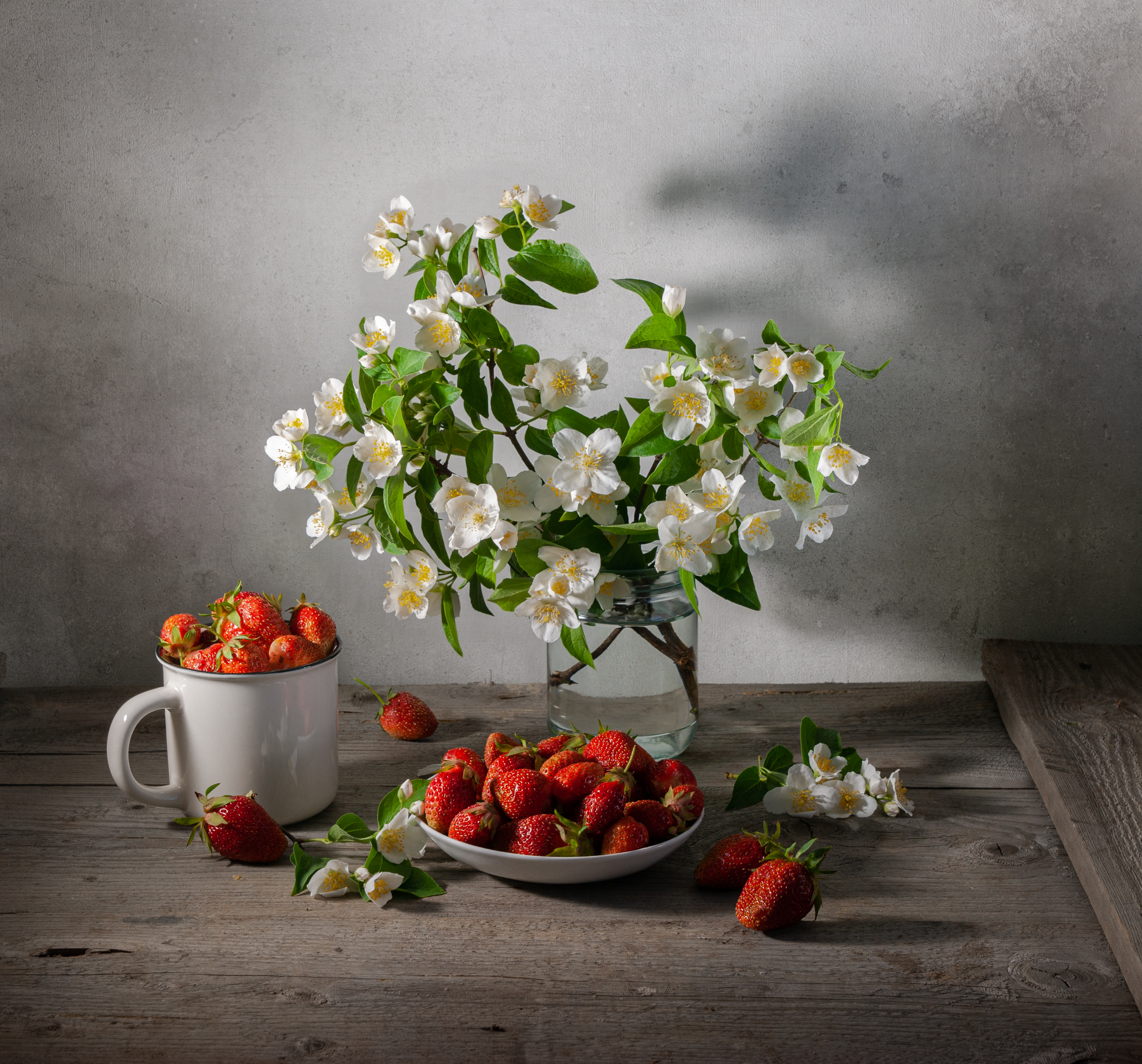 , Павлюк Елена