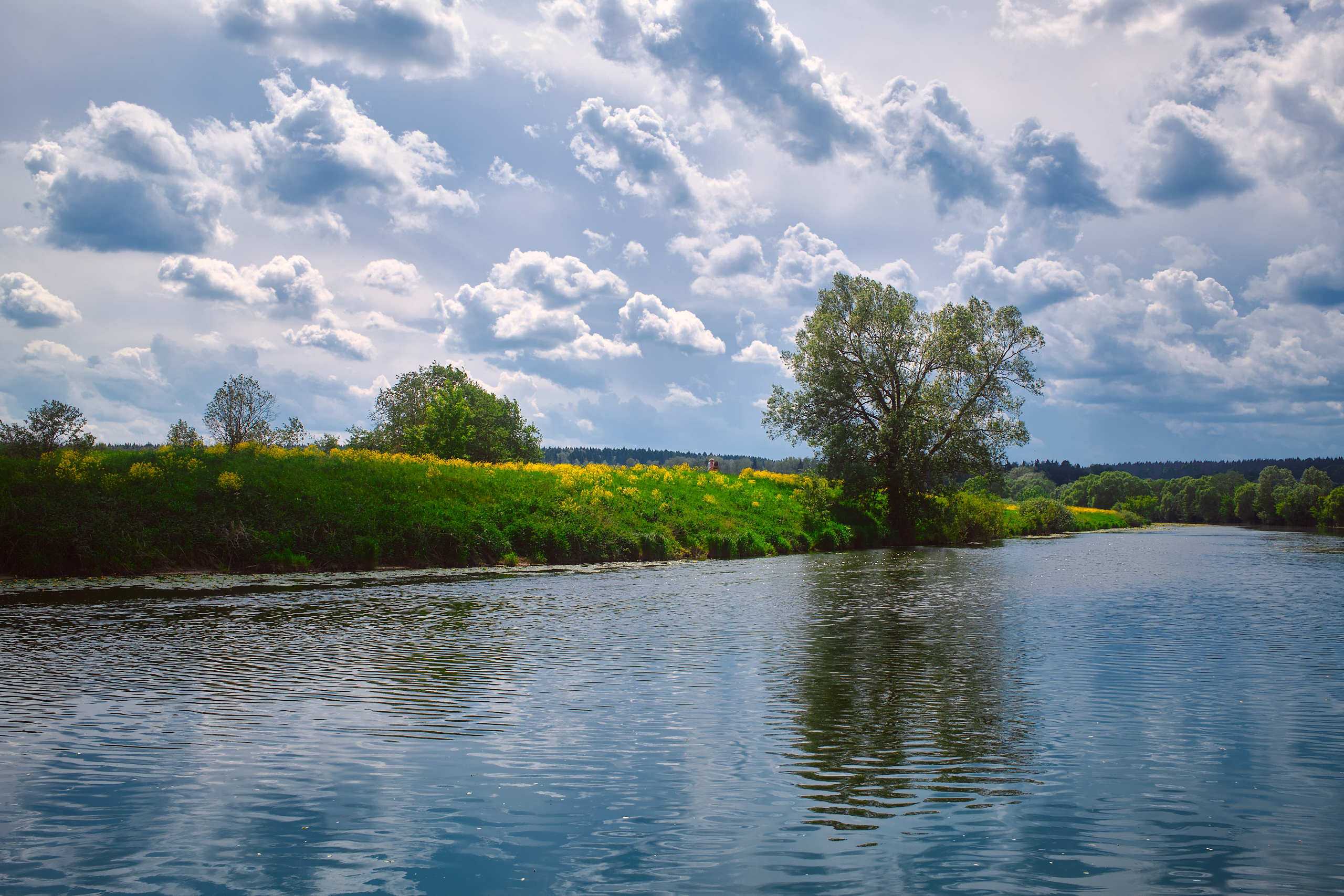 , Дыбов Дмитрий