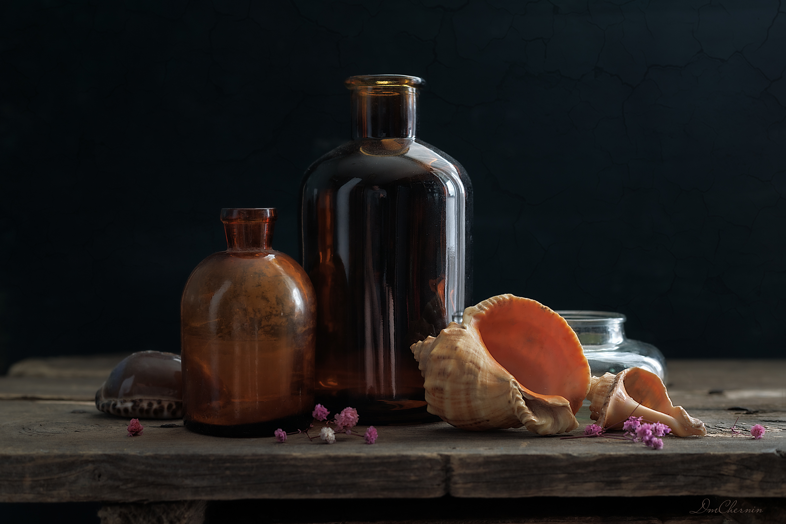 , Чернин Дмитрий