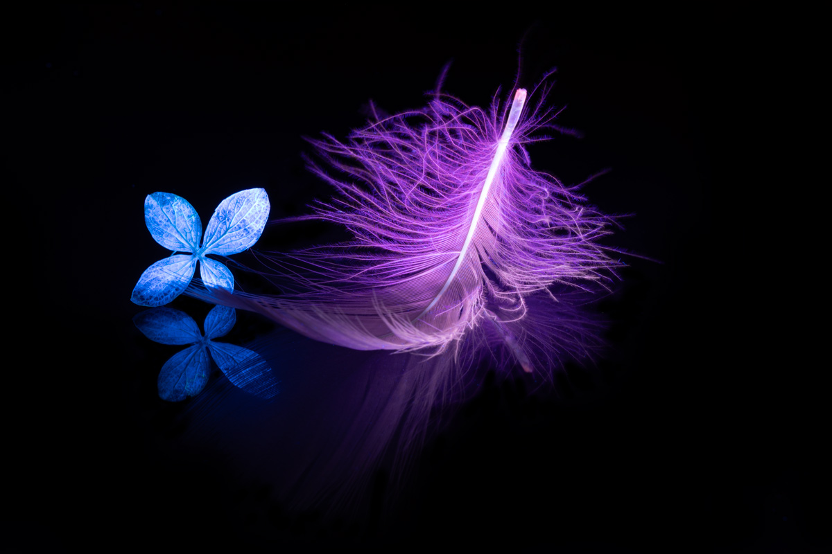 , Копцев Игорь