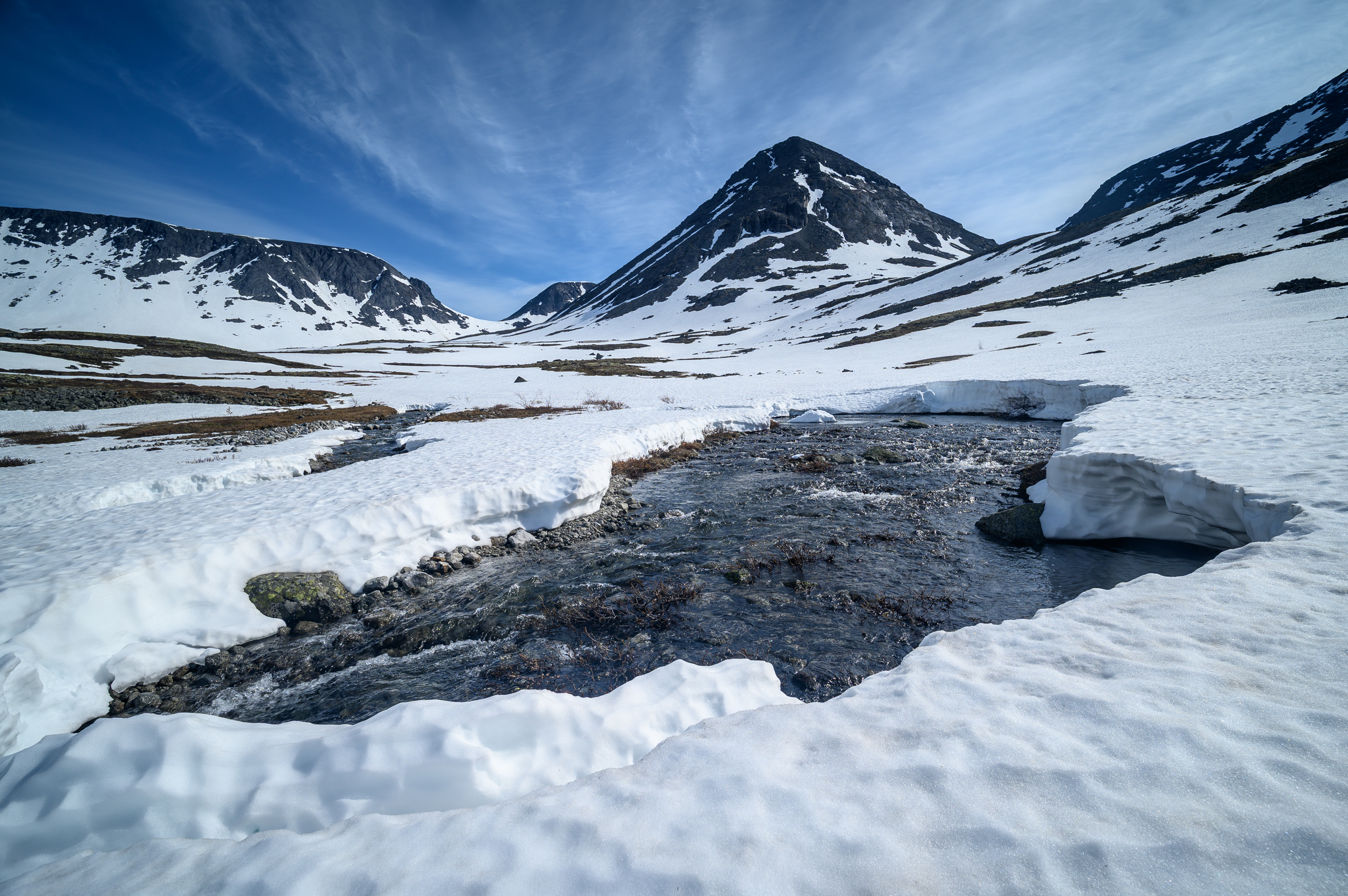 , Ян Сурогин