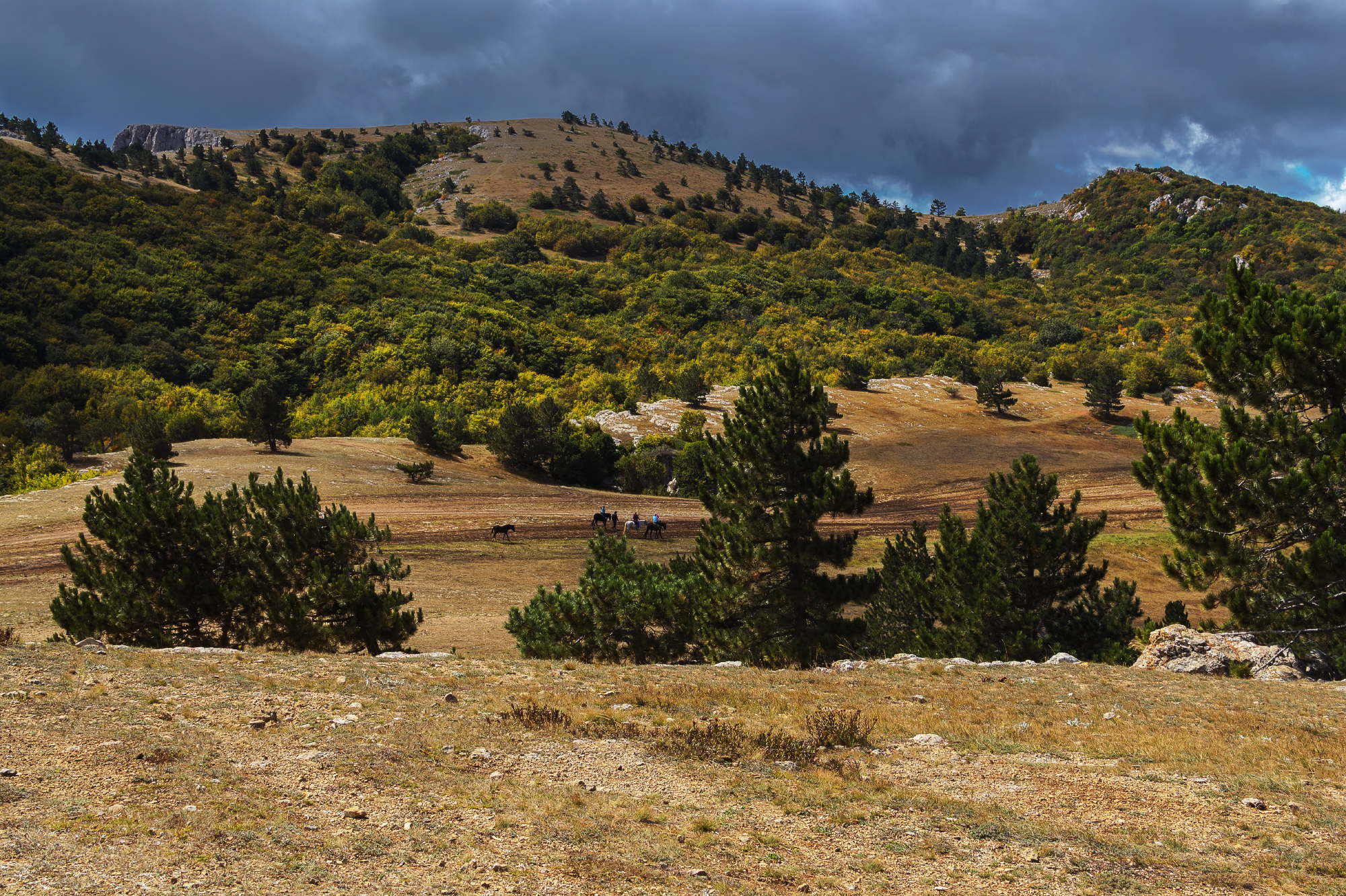 , Лысенко Сергей