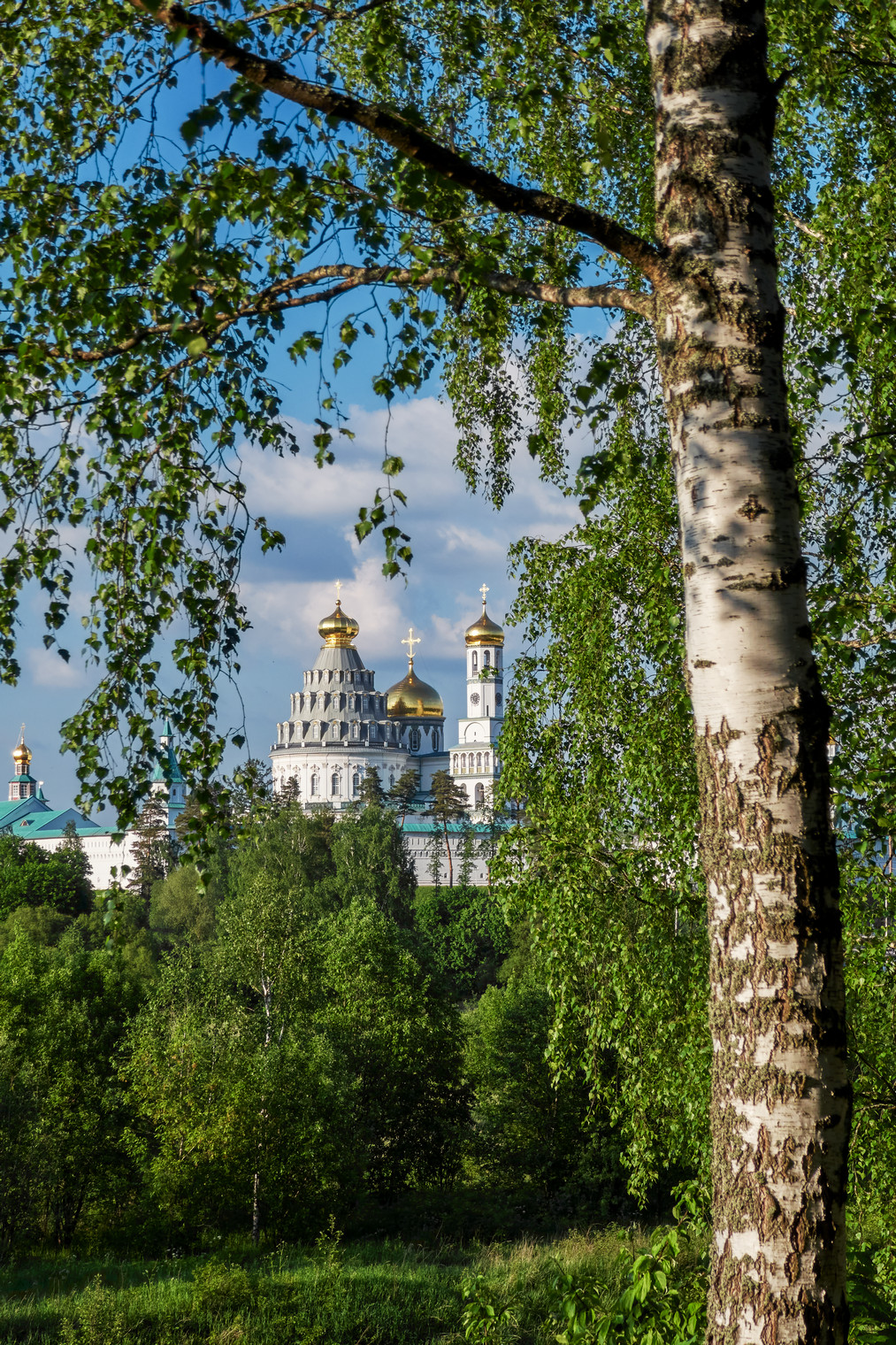 , Медведев Александр