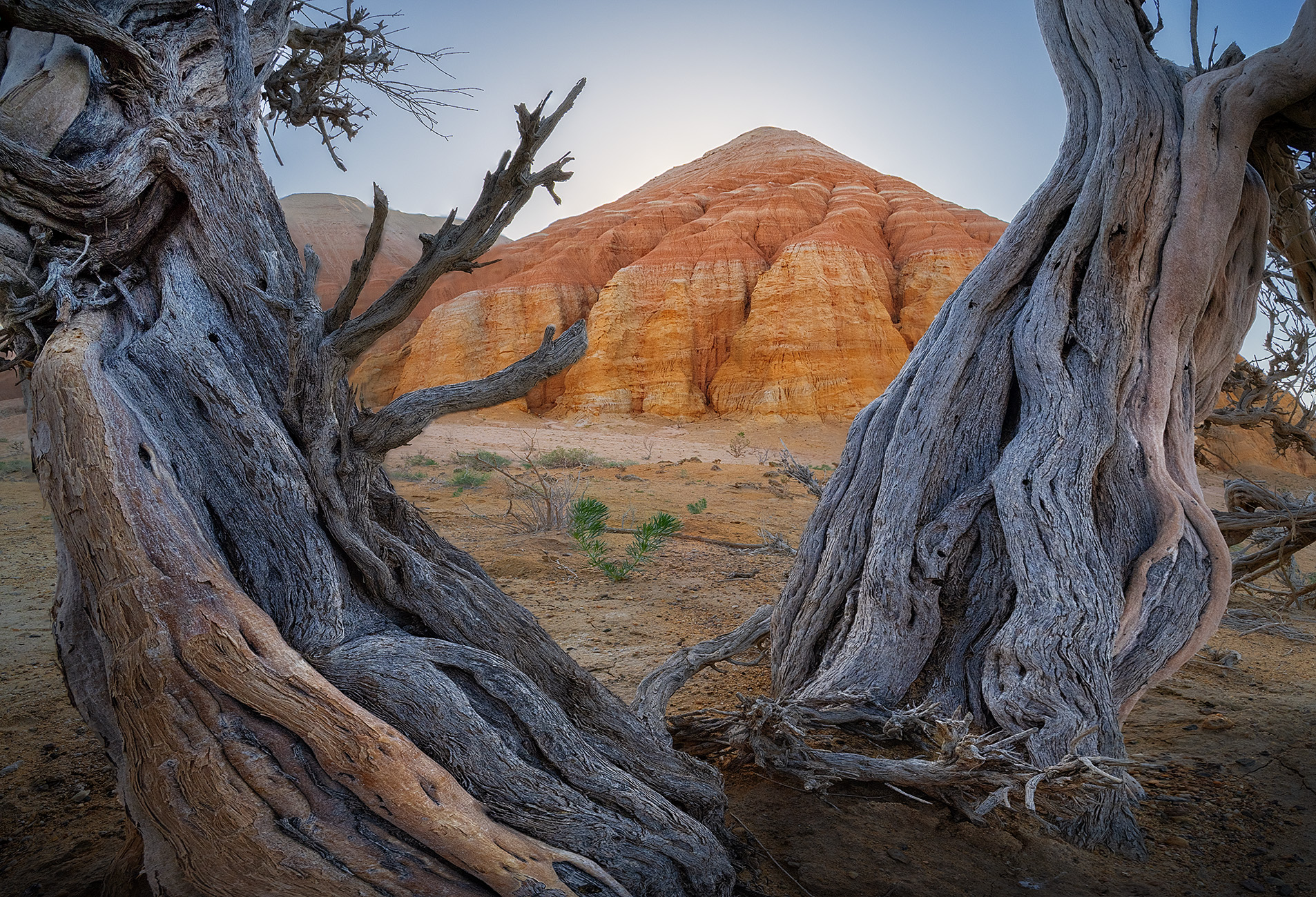 , Андрей Родионов