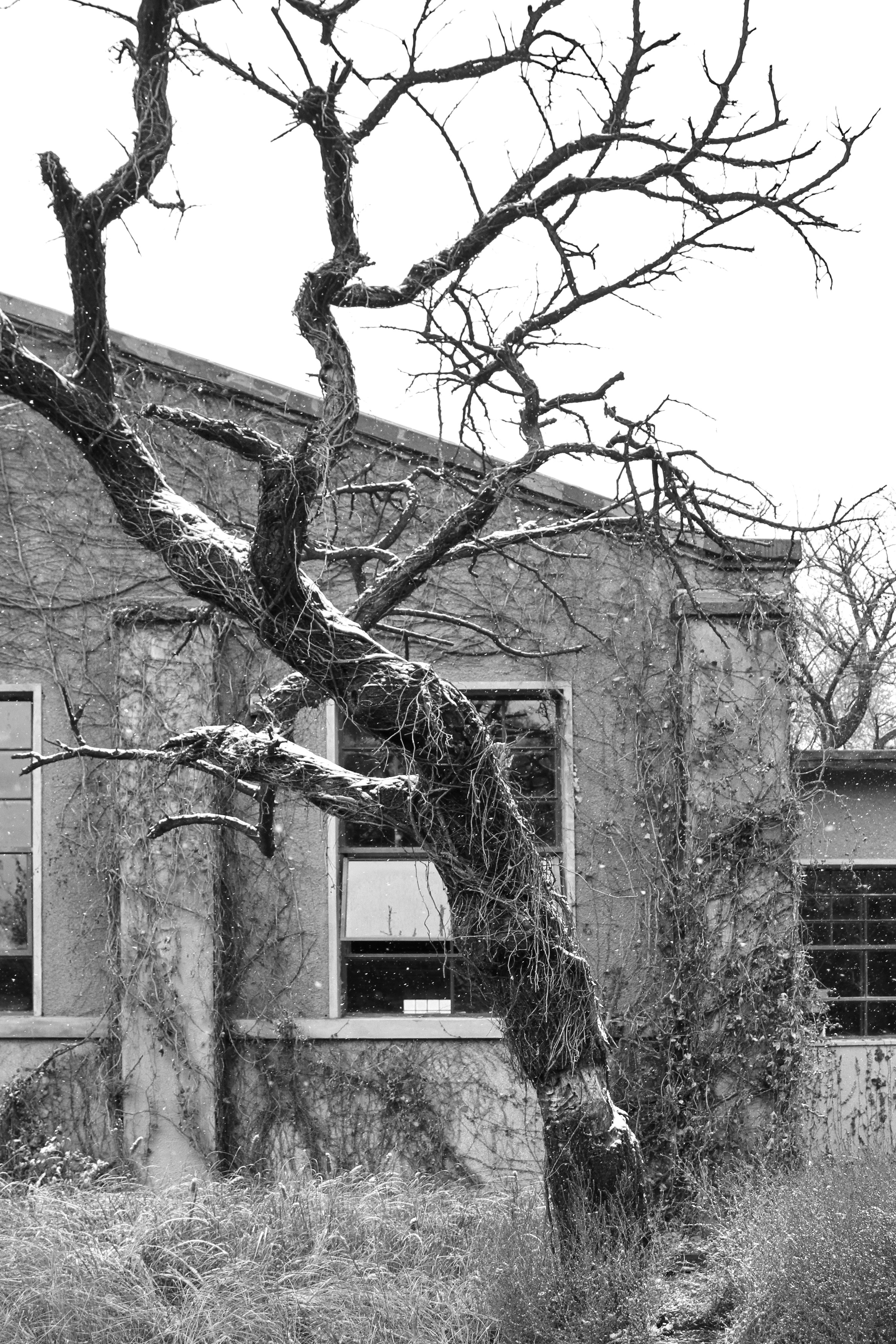 , Гагик Мхитарян