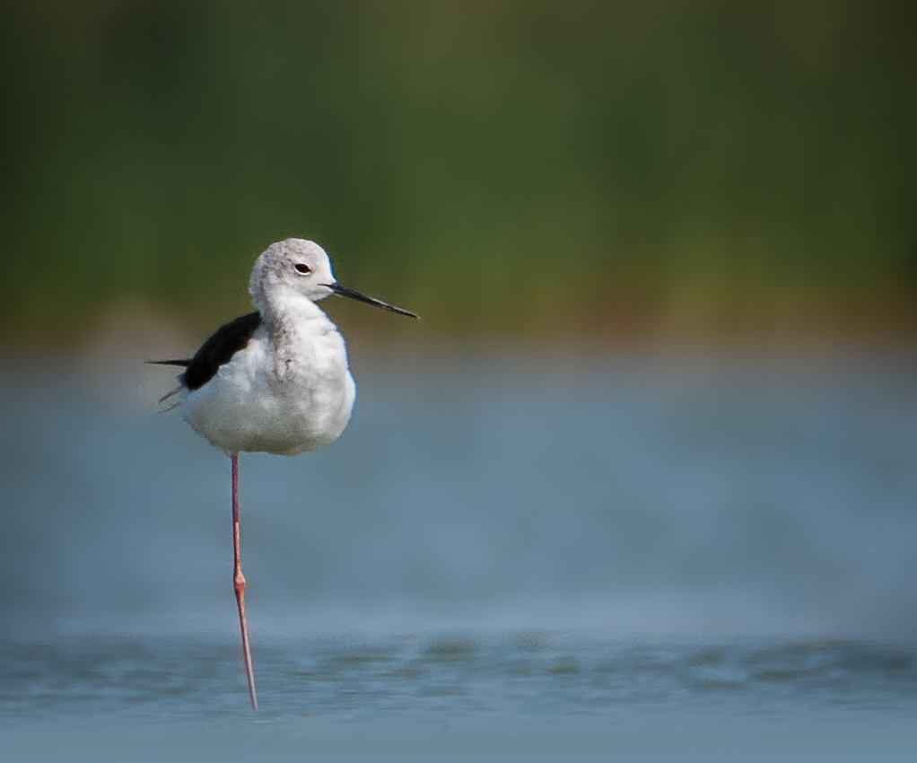 , Фото Александр