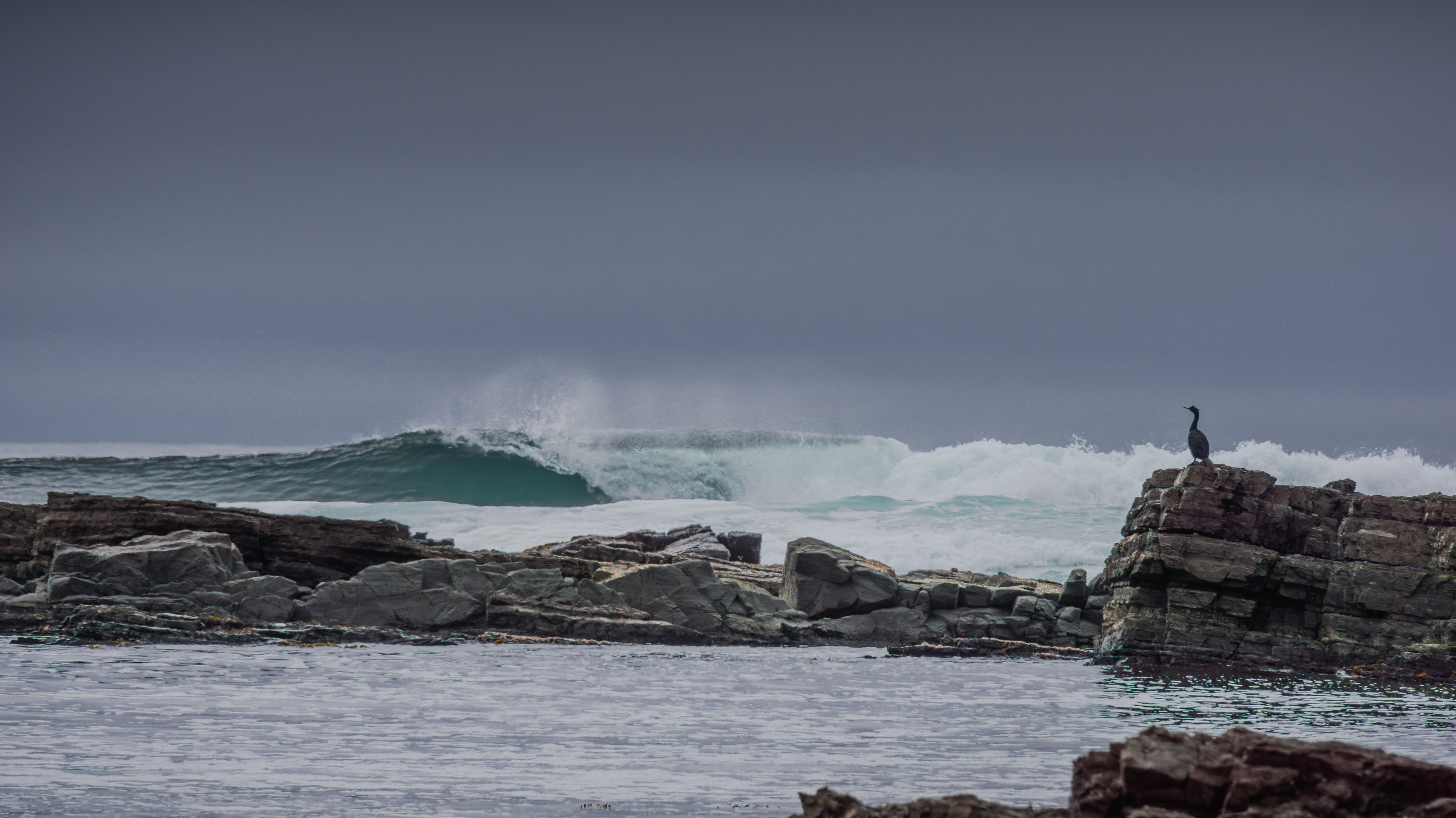 , Денис Туев