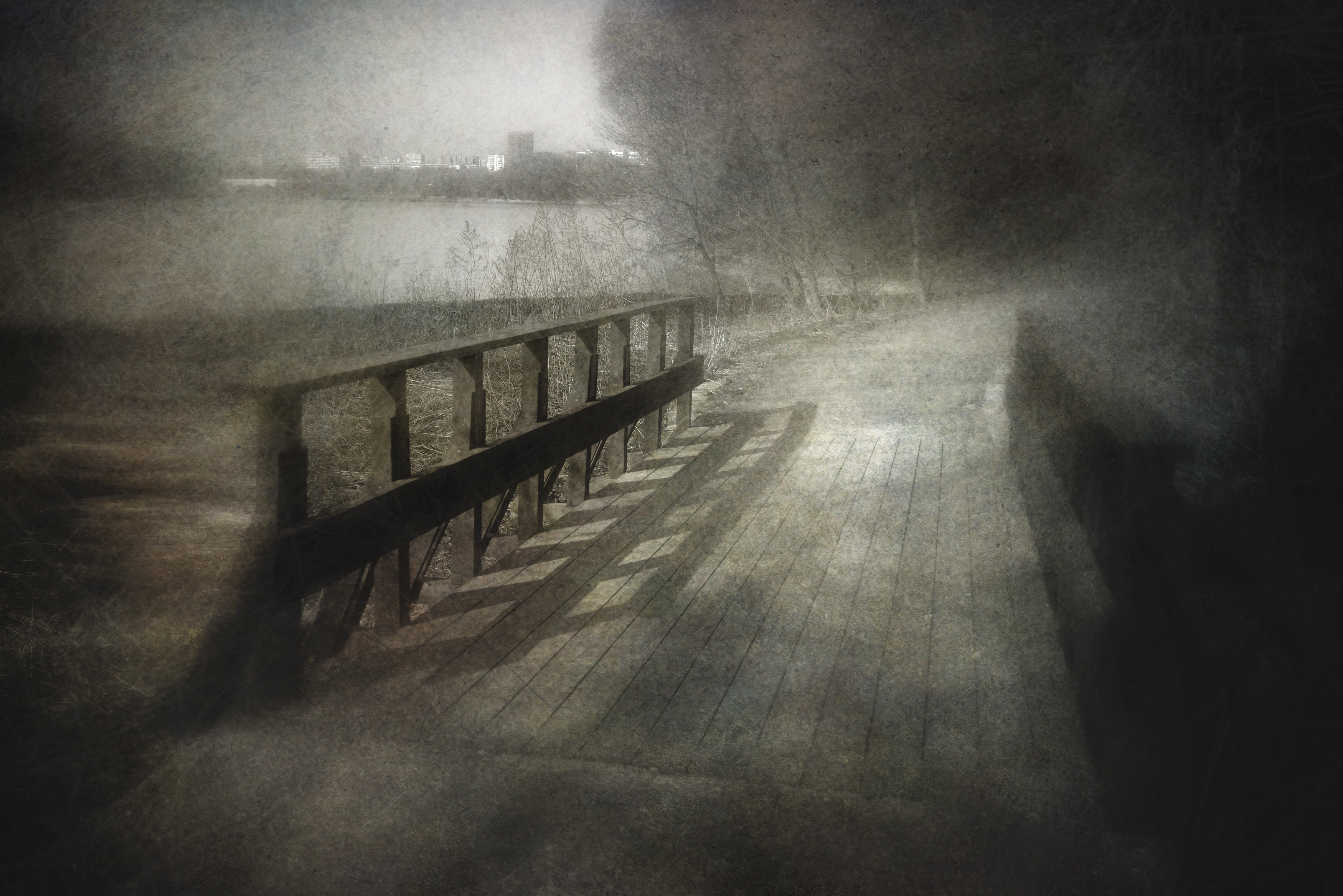 чб, пейзаж, пикториализм, Сергей Кот