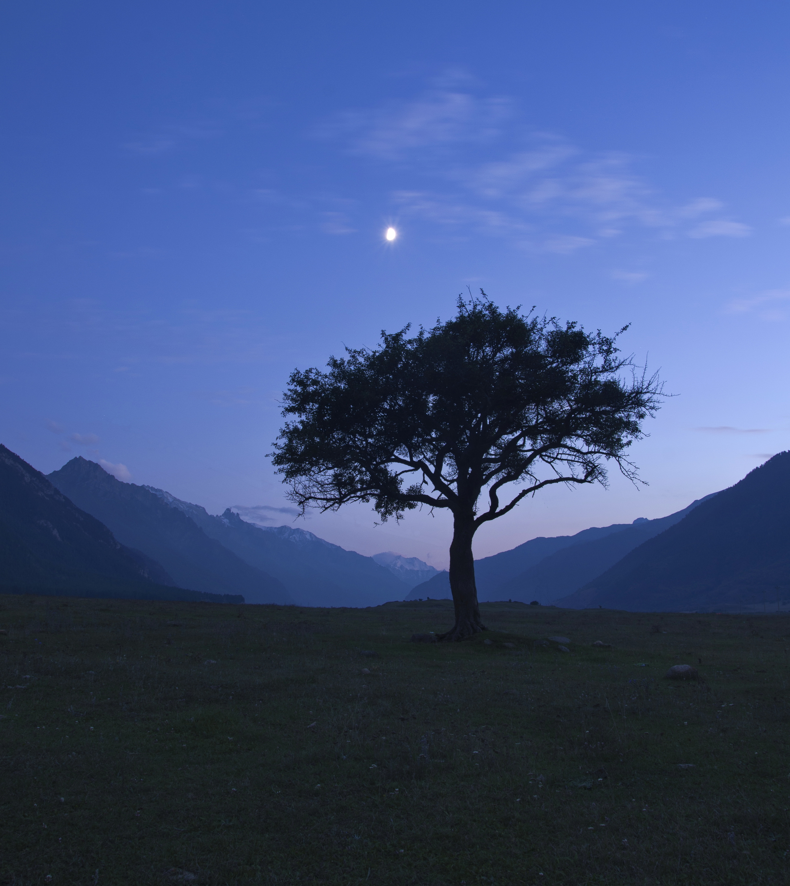 дерево, ущелье, луна, горы, туман, небо, страж, кавказ, теберда, домбай, карачаево-черкесия, Арсен Алабердов