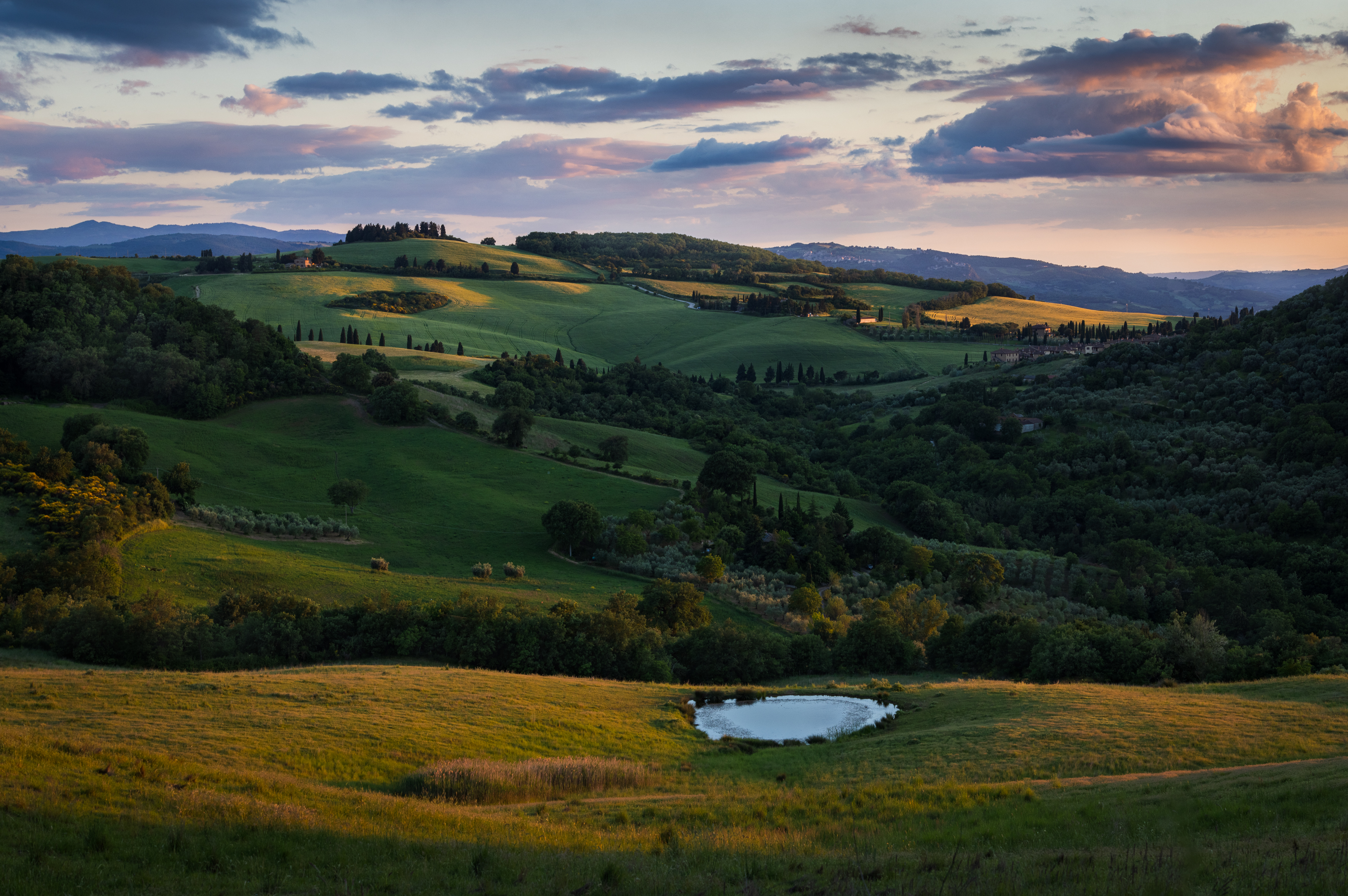 , Алекс Римский