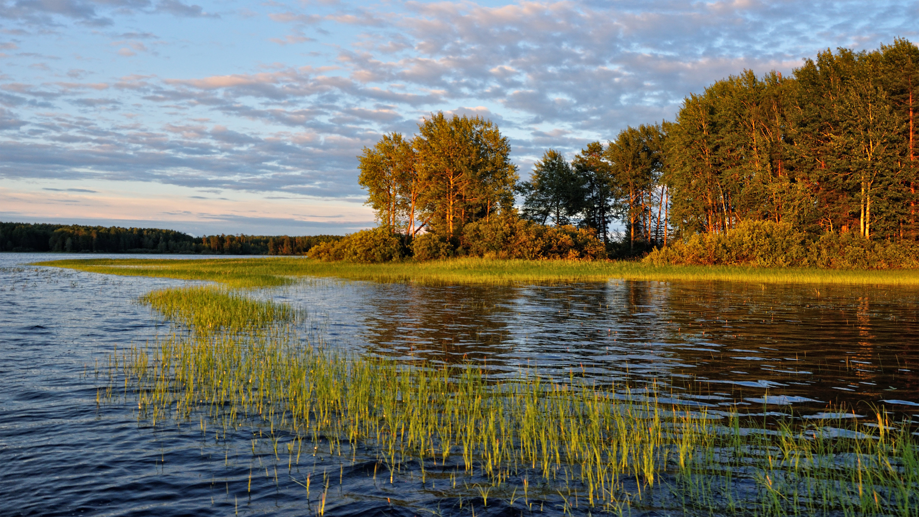 , Куликов Андрей