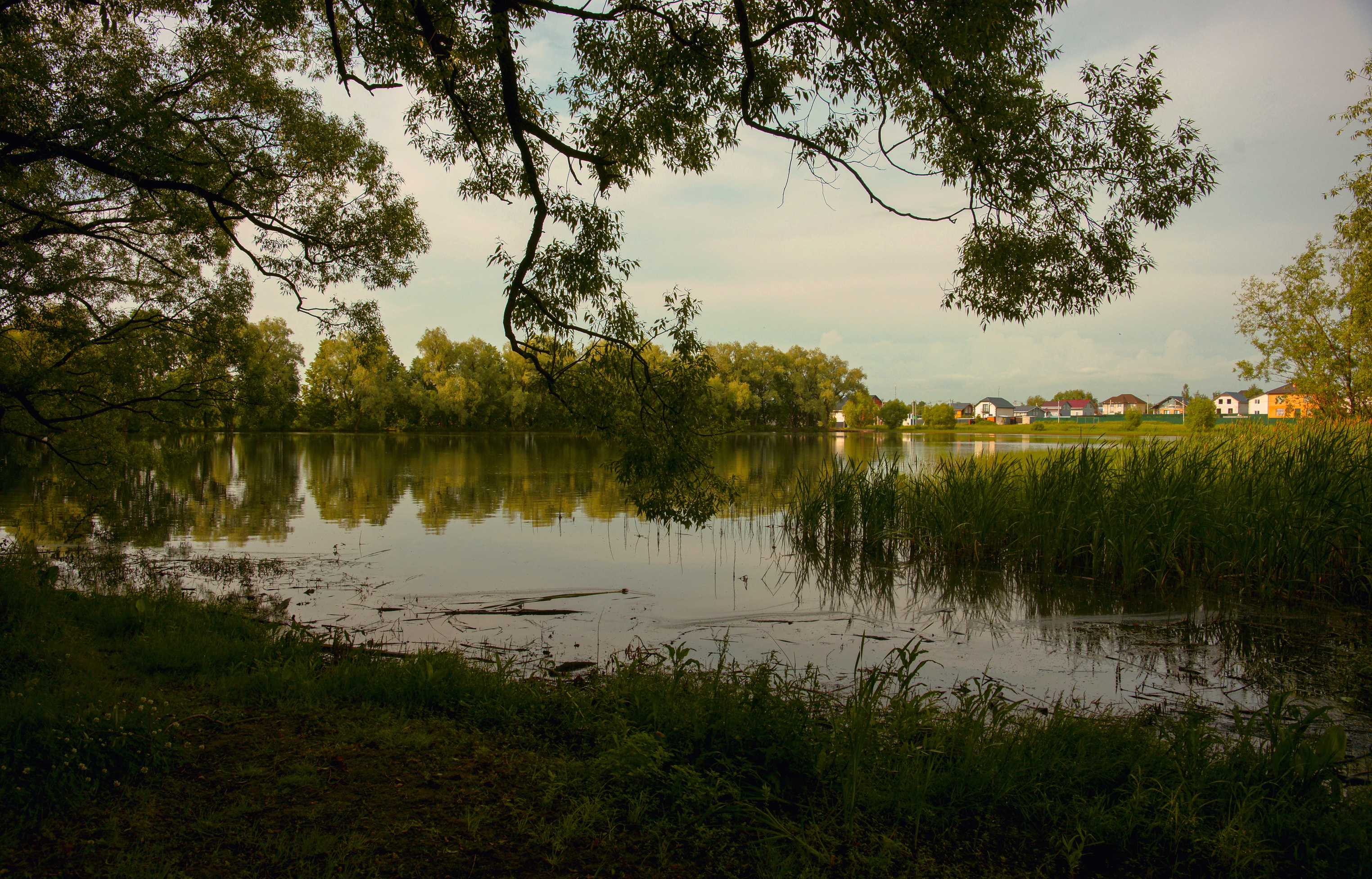 , Сушкевич Светлана