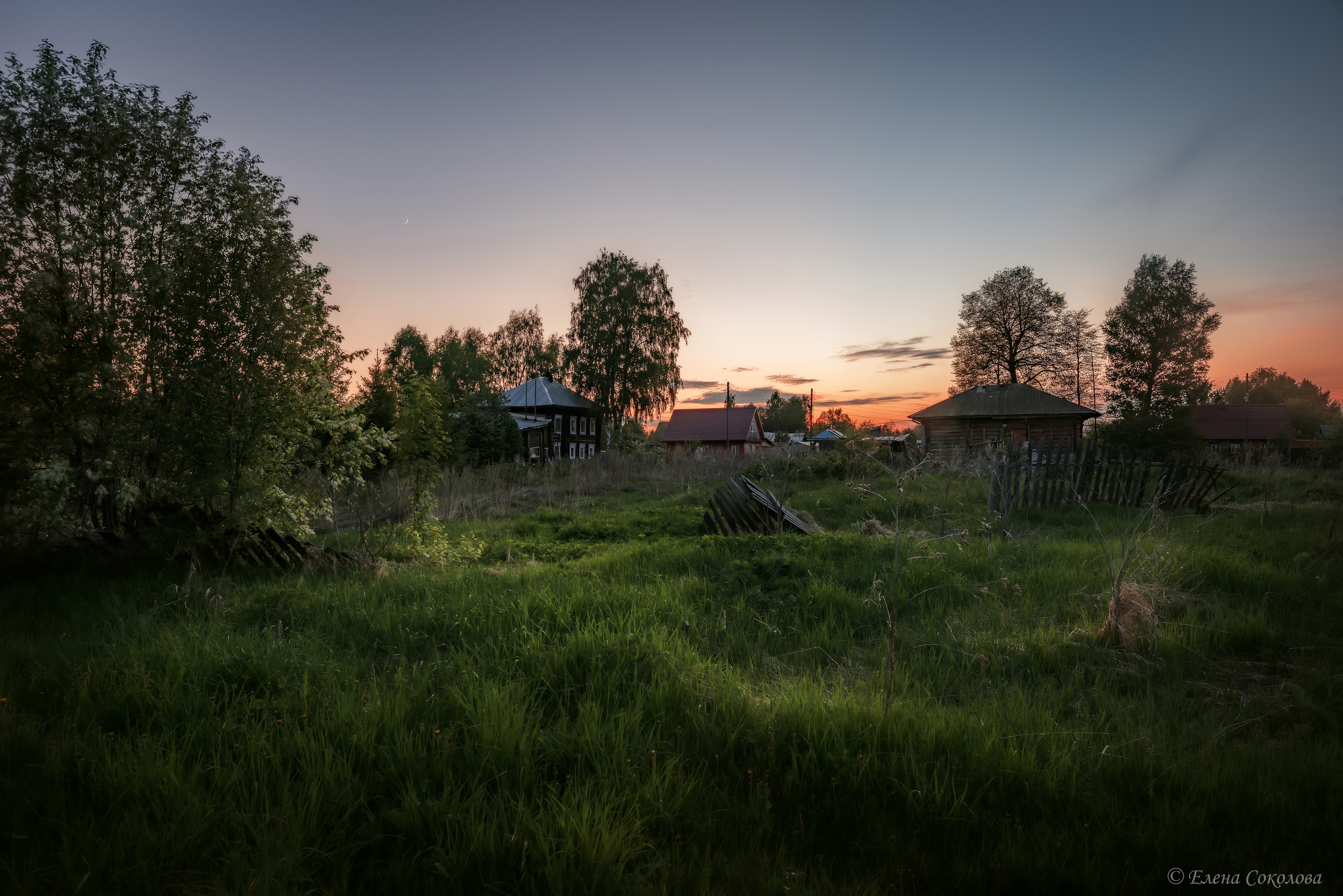 деревенский пейзаж, лето, Соколова Елена