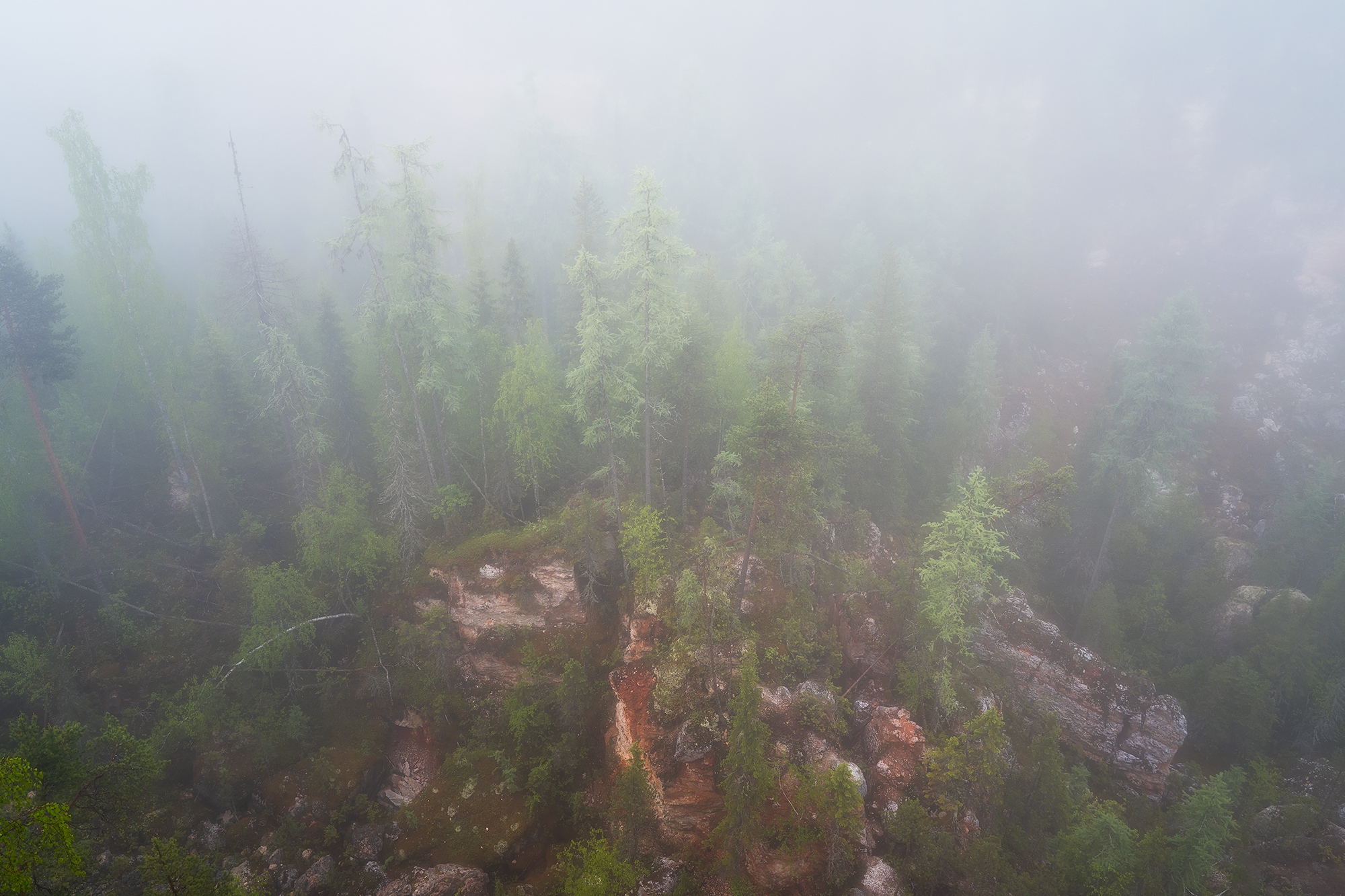 , Александр Ермолин