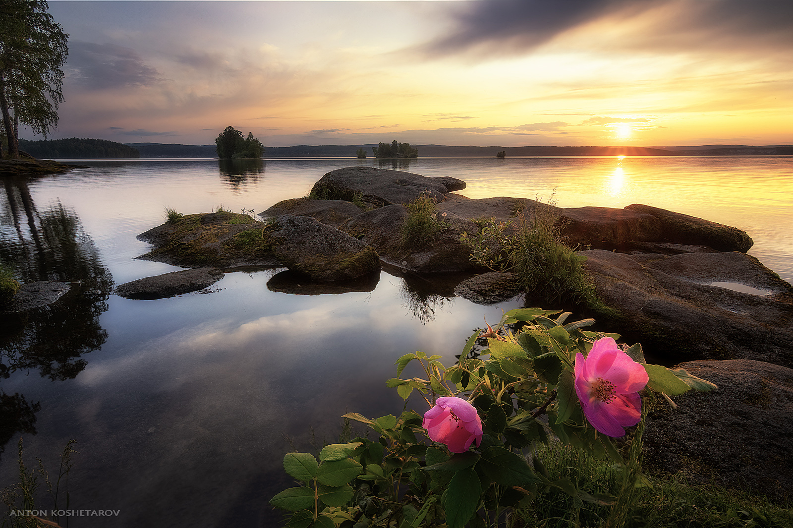 , Антон Кошетаров