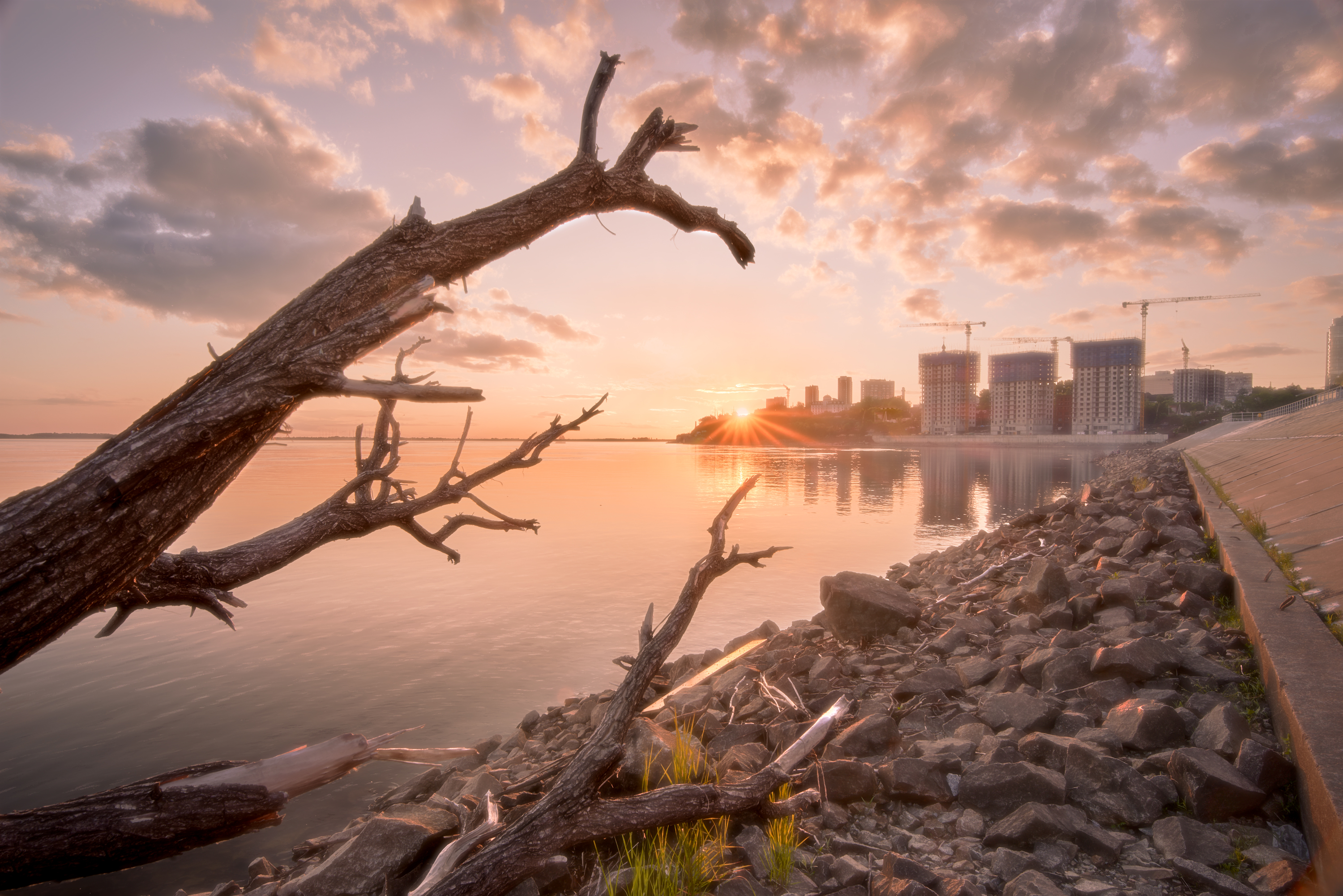 , Александр Новиков