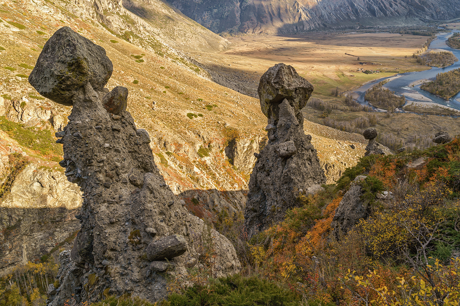 Россия, Алтай, природа, пейзаж, долина Челышман, Каменные грибы, Лариса Дука