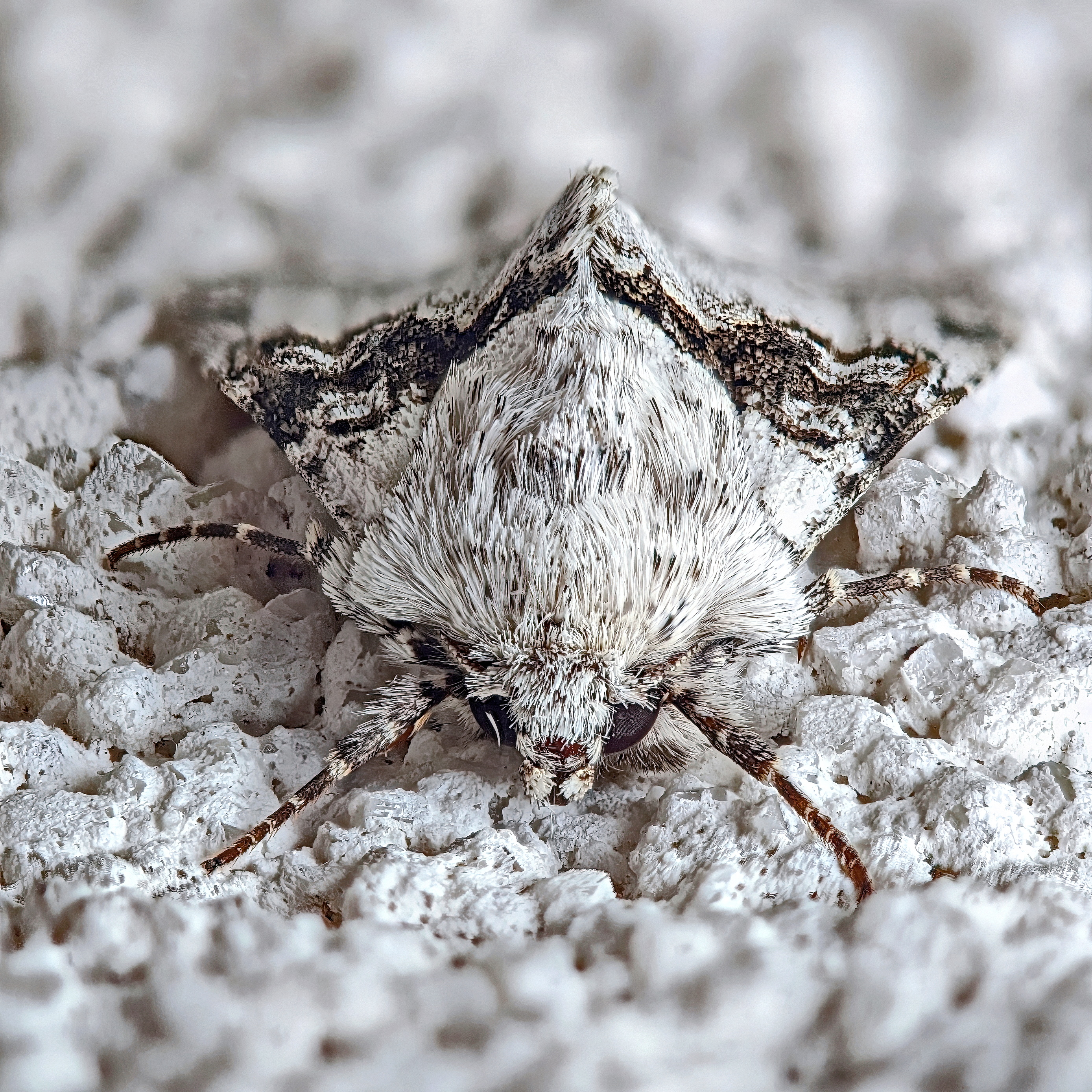 , Кузнецов Дмитрий