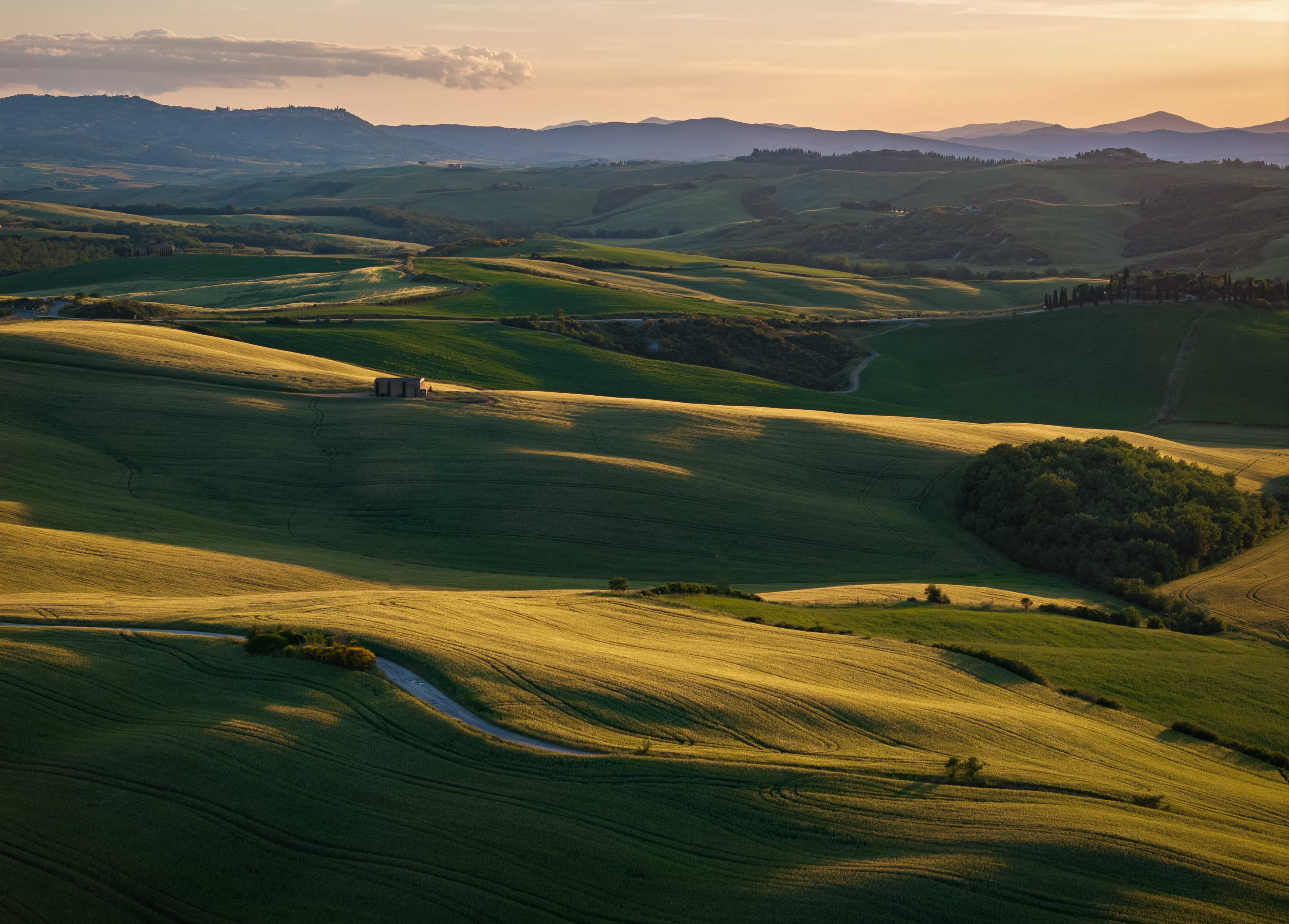 , Алекс Римский