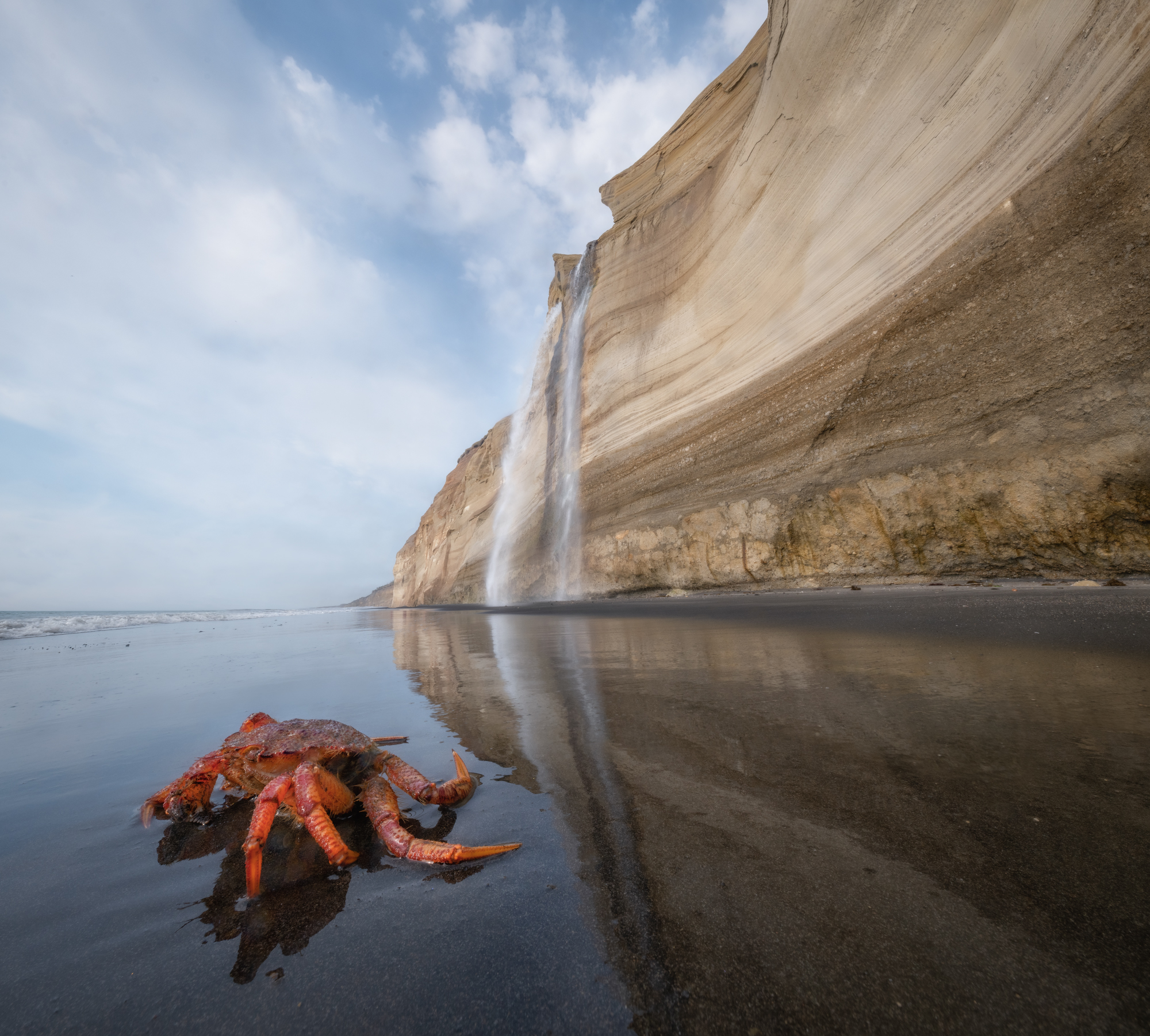 курилы, Андрей Грачев