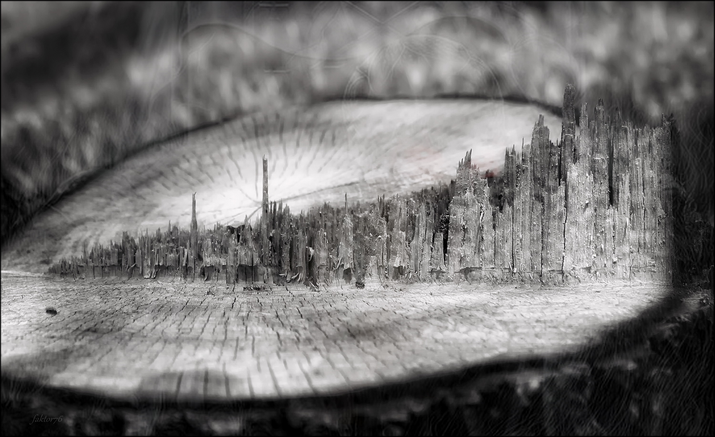 ,  Сергей Валерьевич