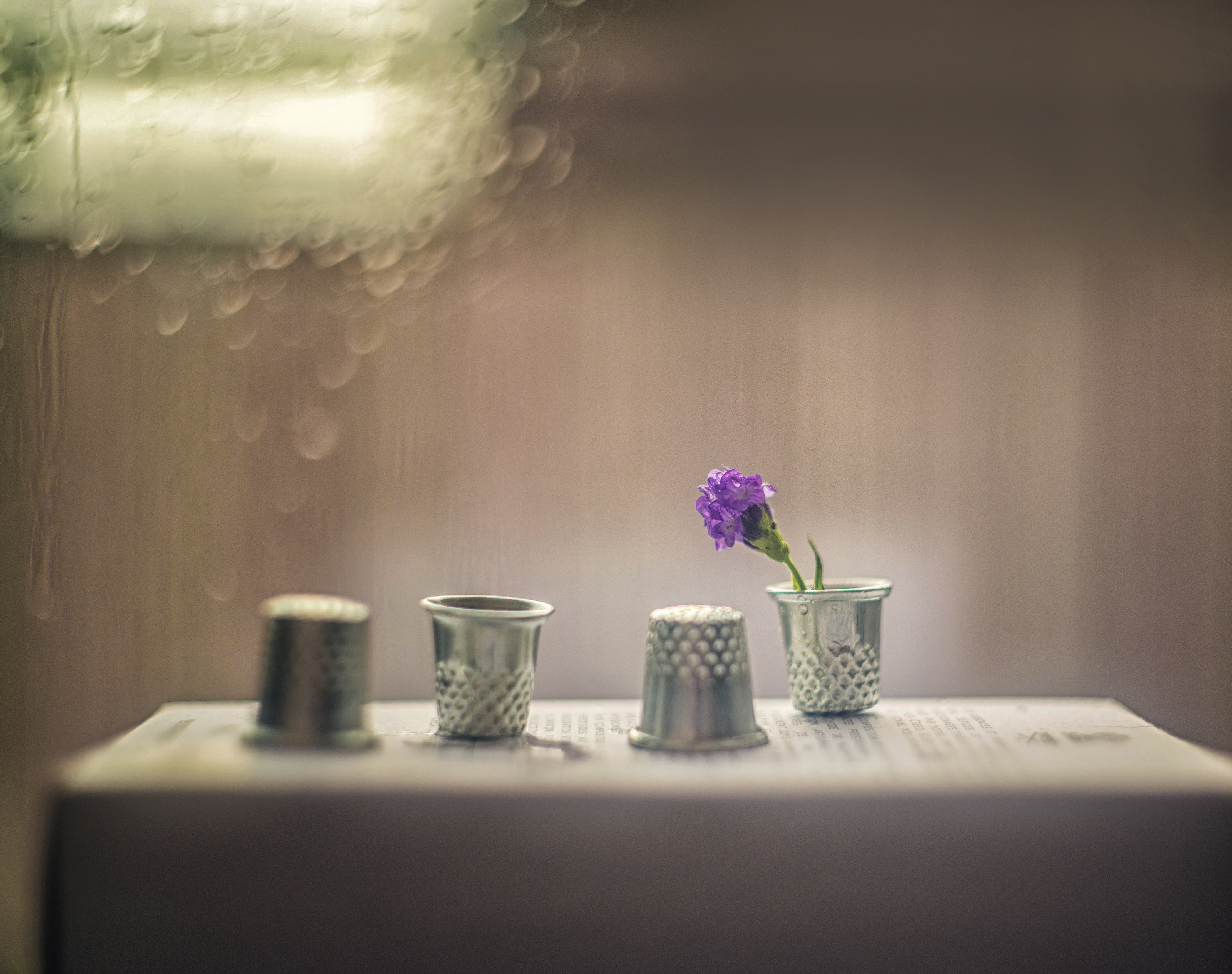 , Сигидова Ирина