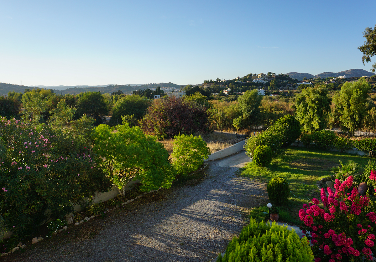 , Новикова Ольга