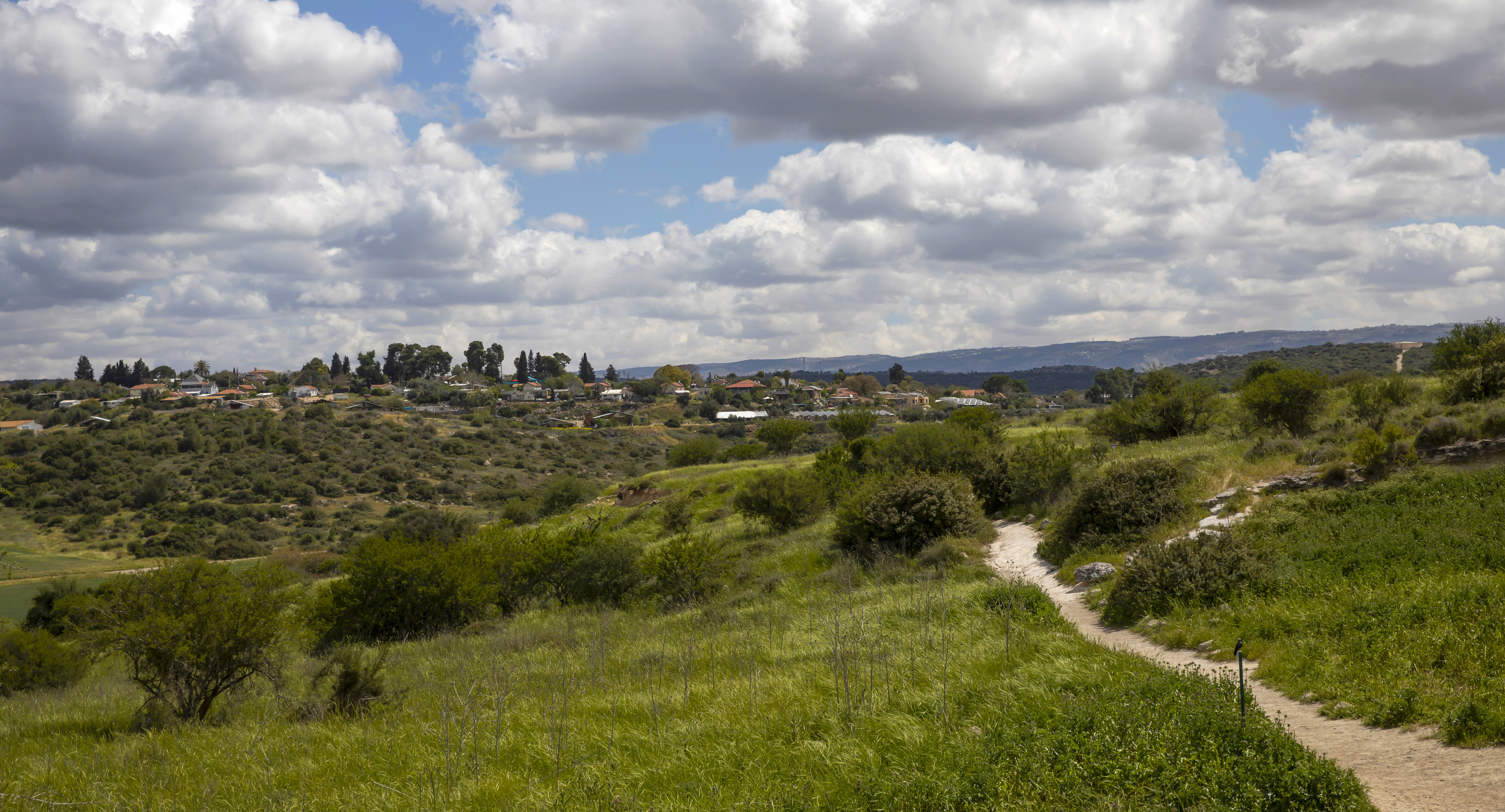 весна в израиле, Валентина Булкина