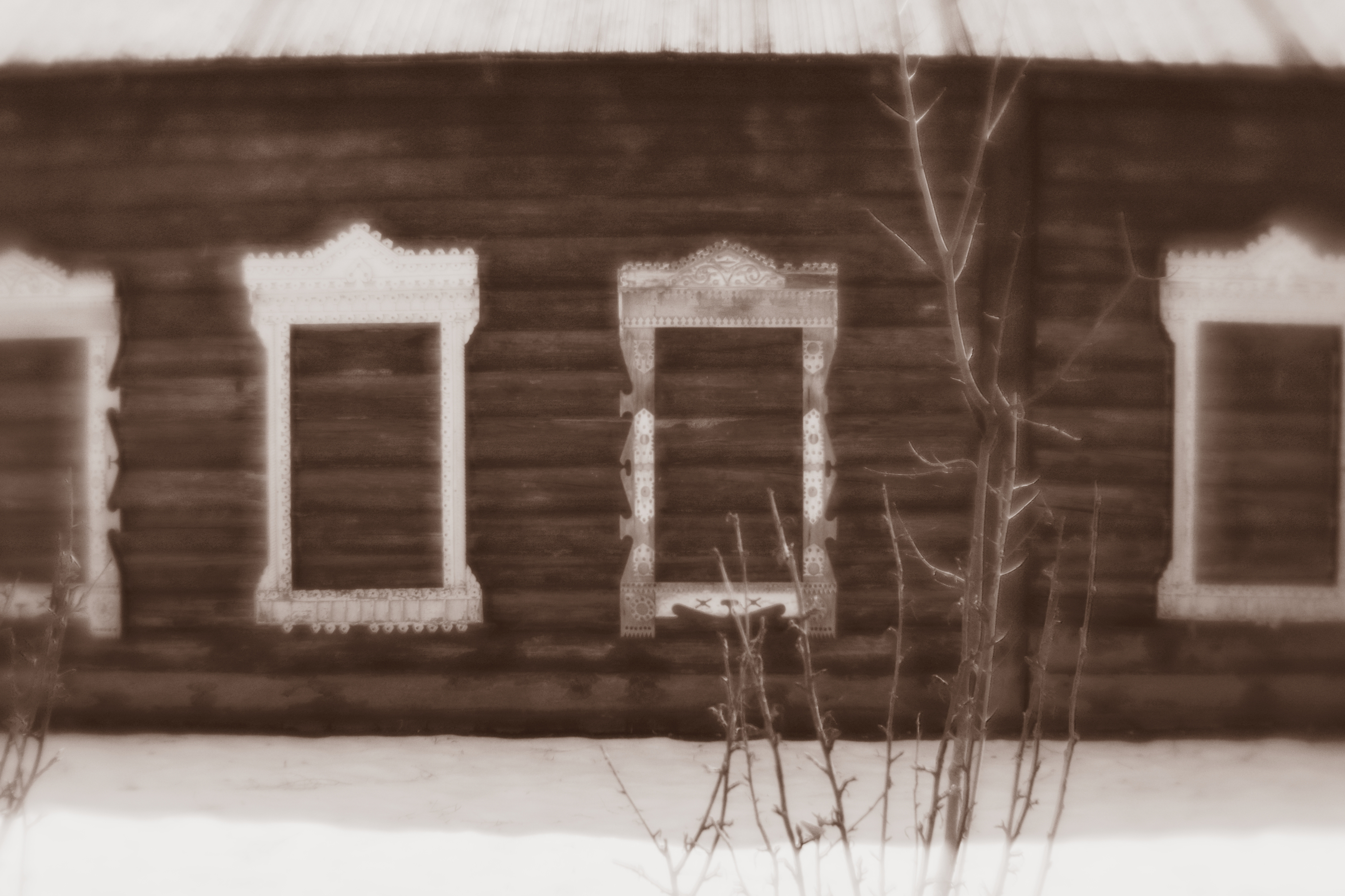 , Таня Смолевская