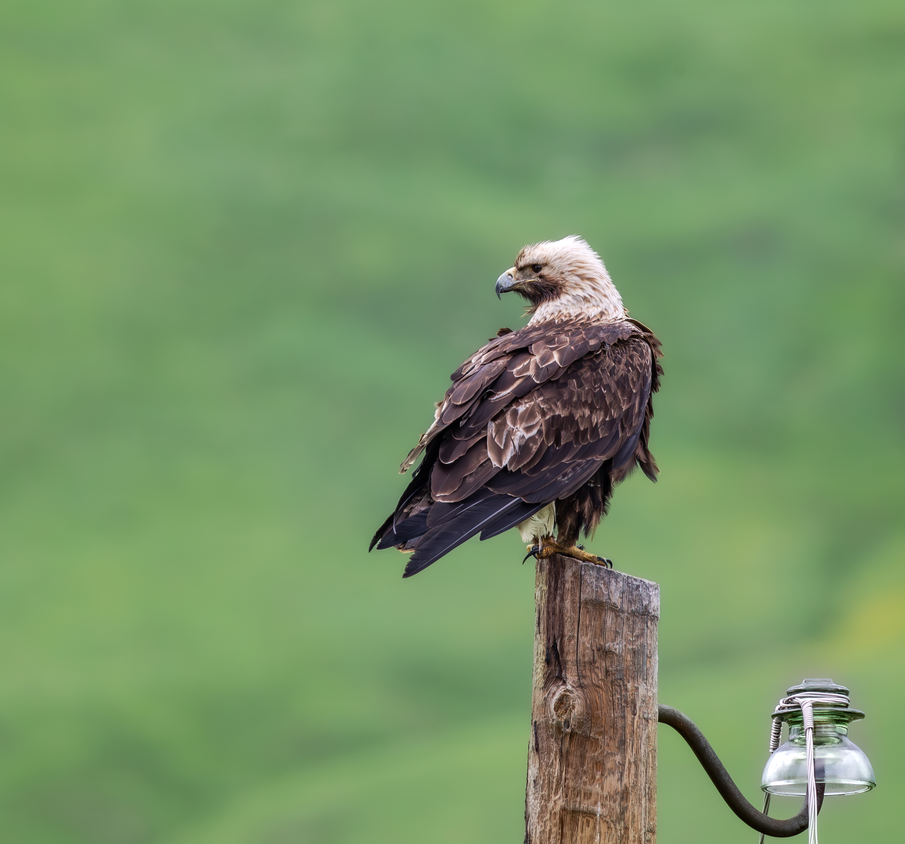 , Веревченко Михаил