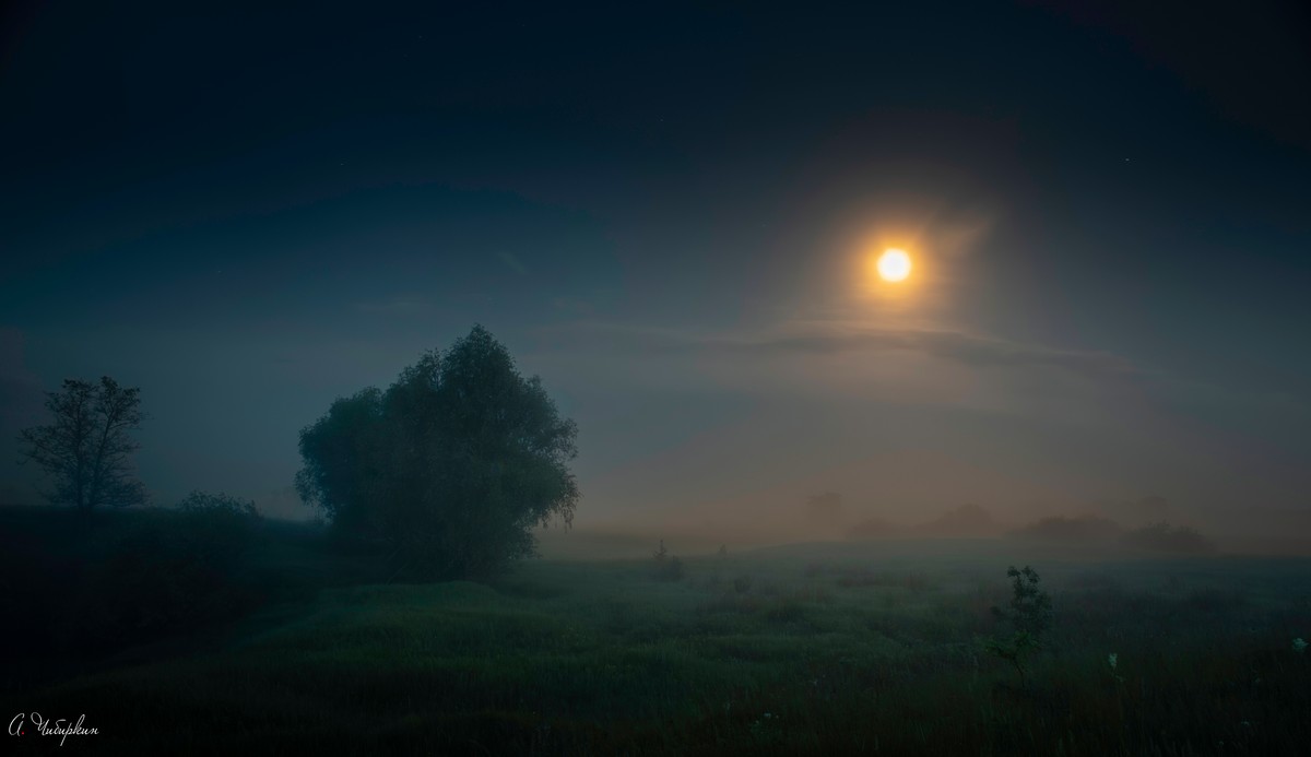 Лето, ночь, туман, Александр Чибиркин