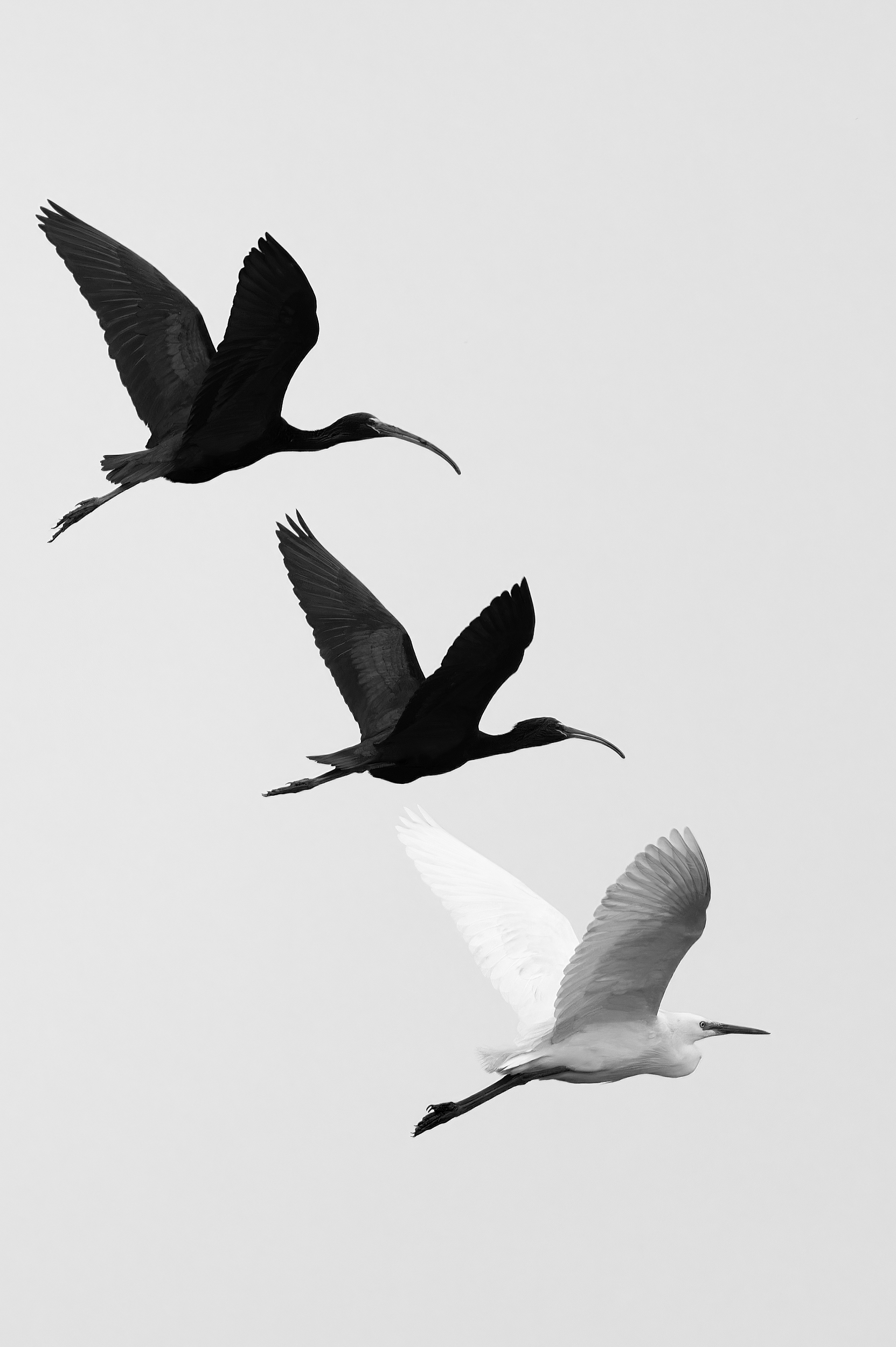 , Сергей Тихомиров