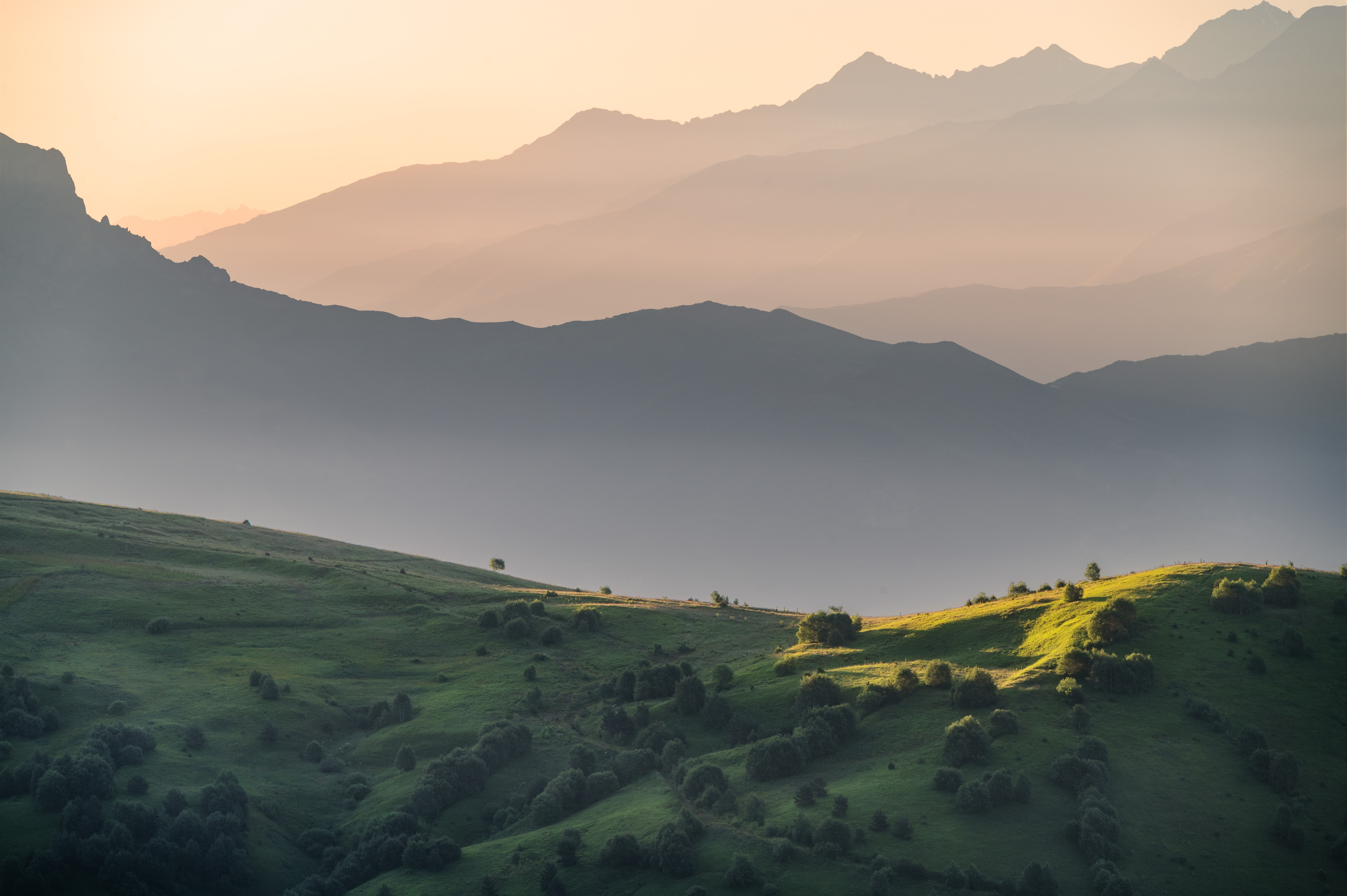 , Алексей Турчин