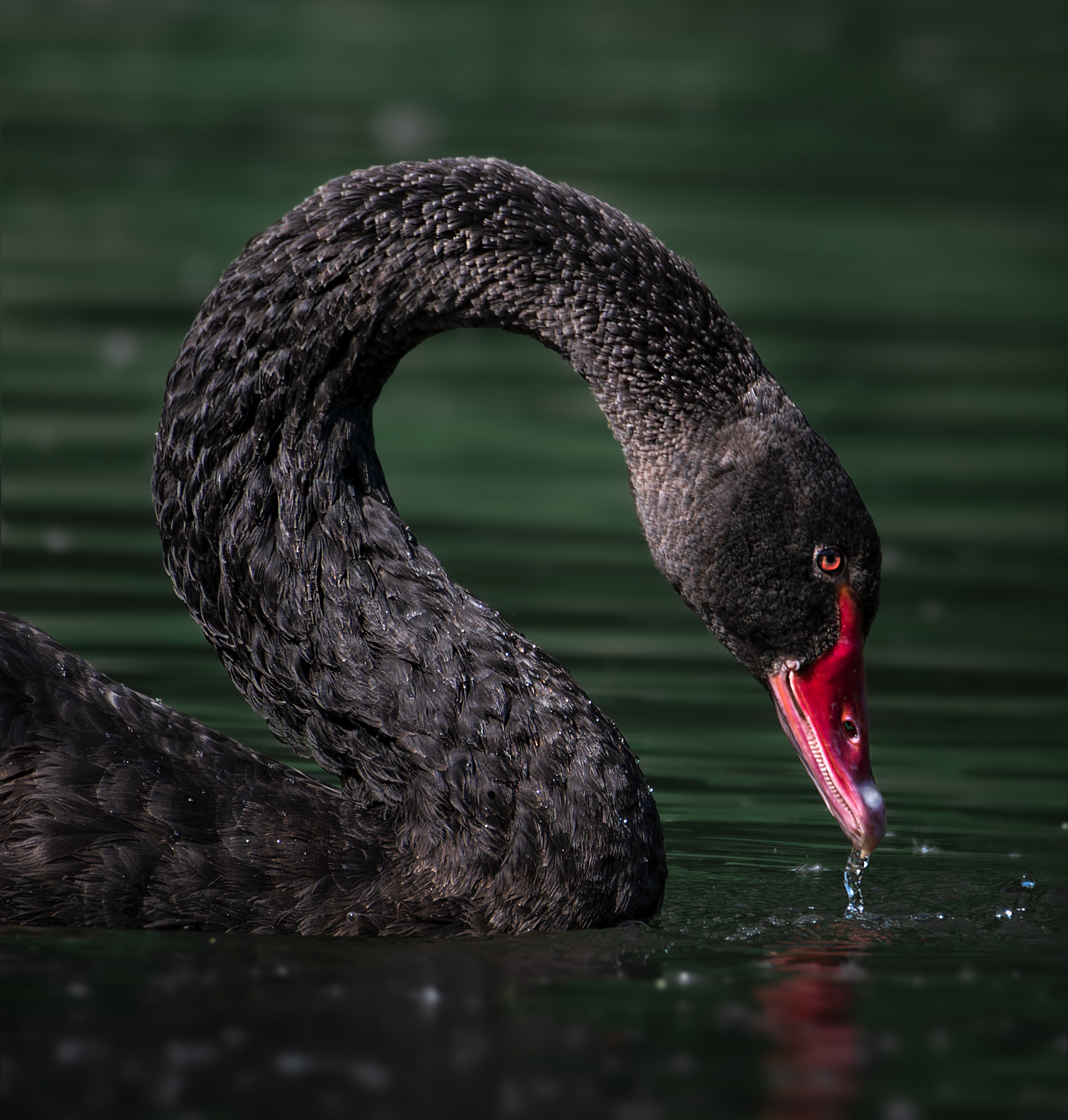 , Фото Александр