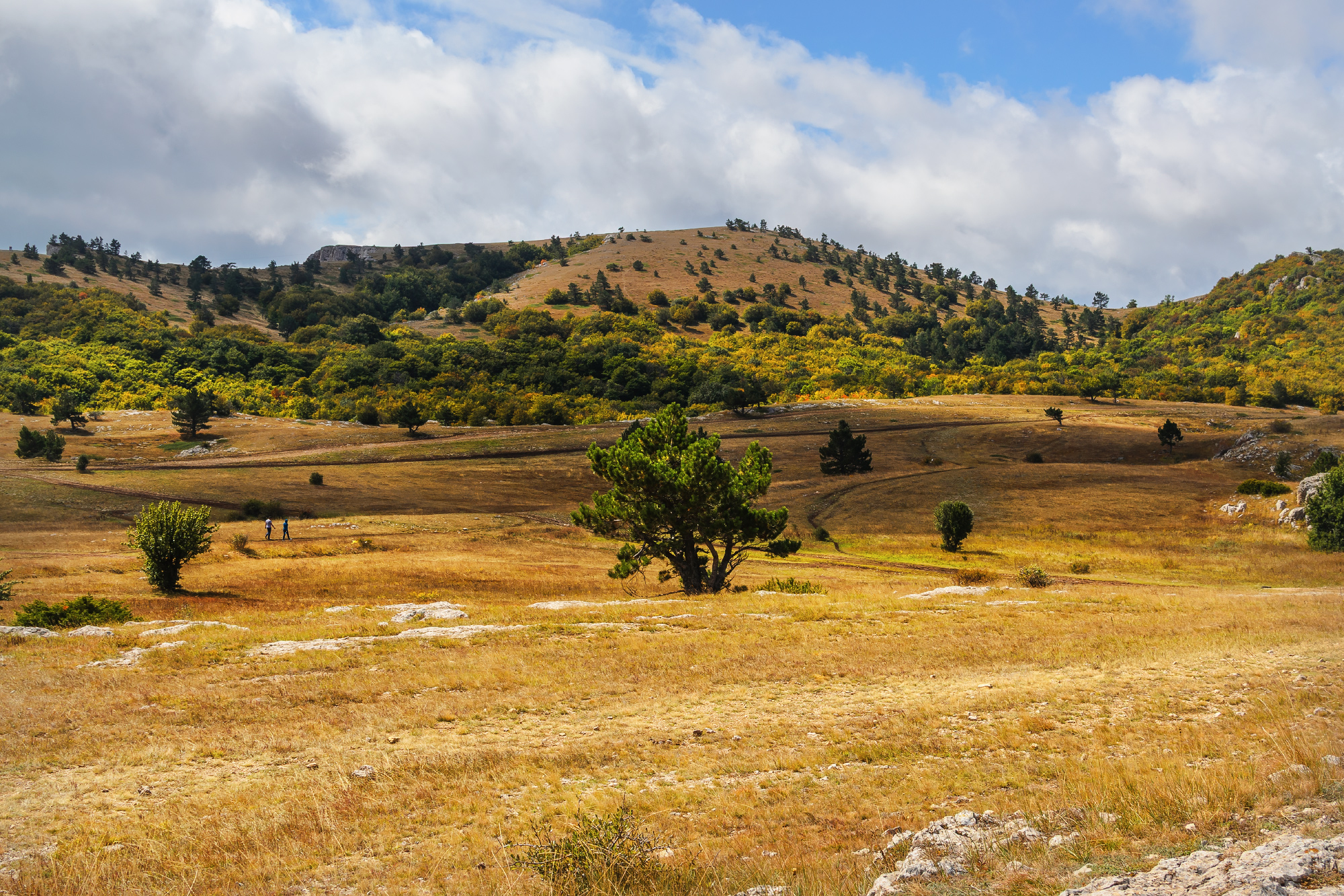 , Лысенко Сергей
