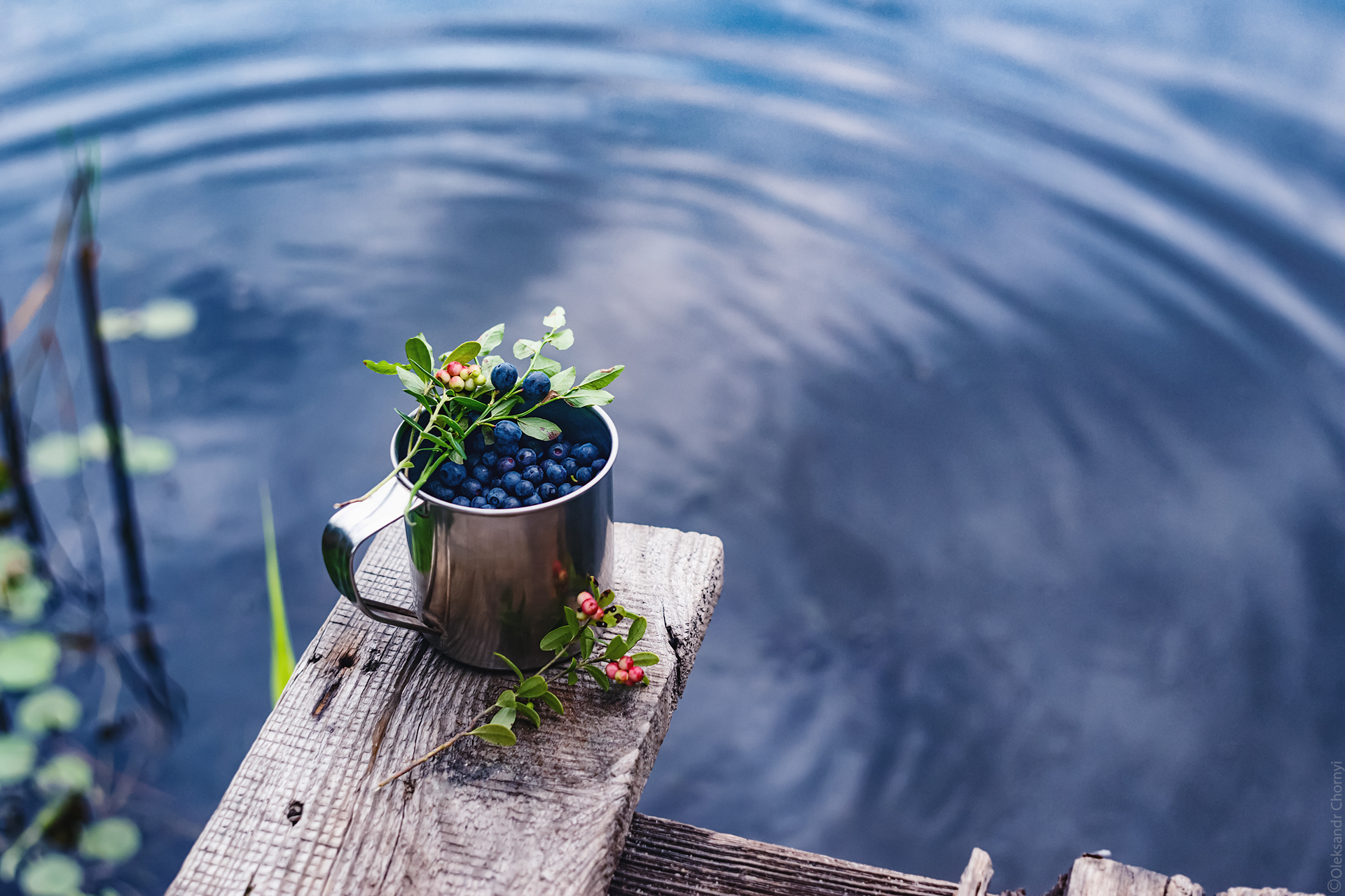 черника, свежесть, озеро, натюрморт, тишина, лето, кружка, коростышев, украина, фотографчорный, сашачорный,, Чорный Александр