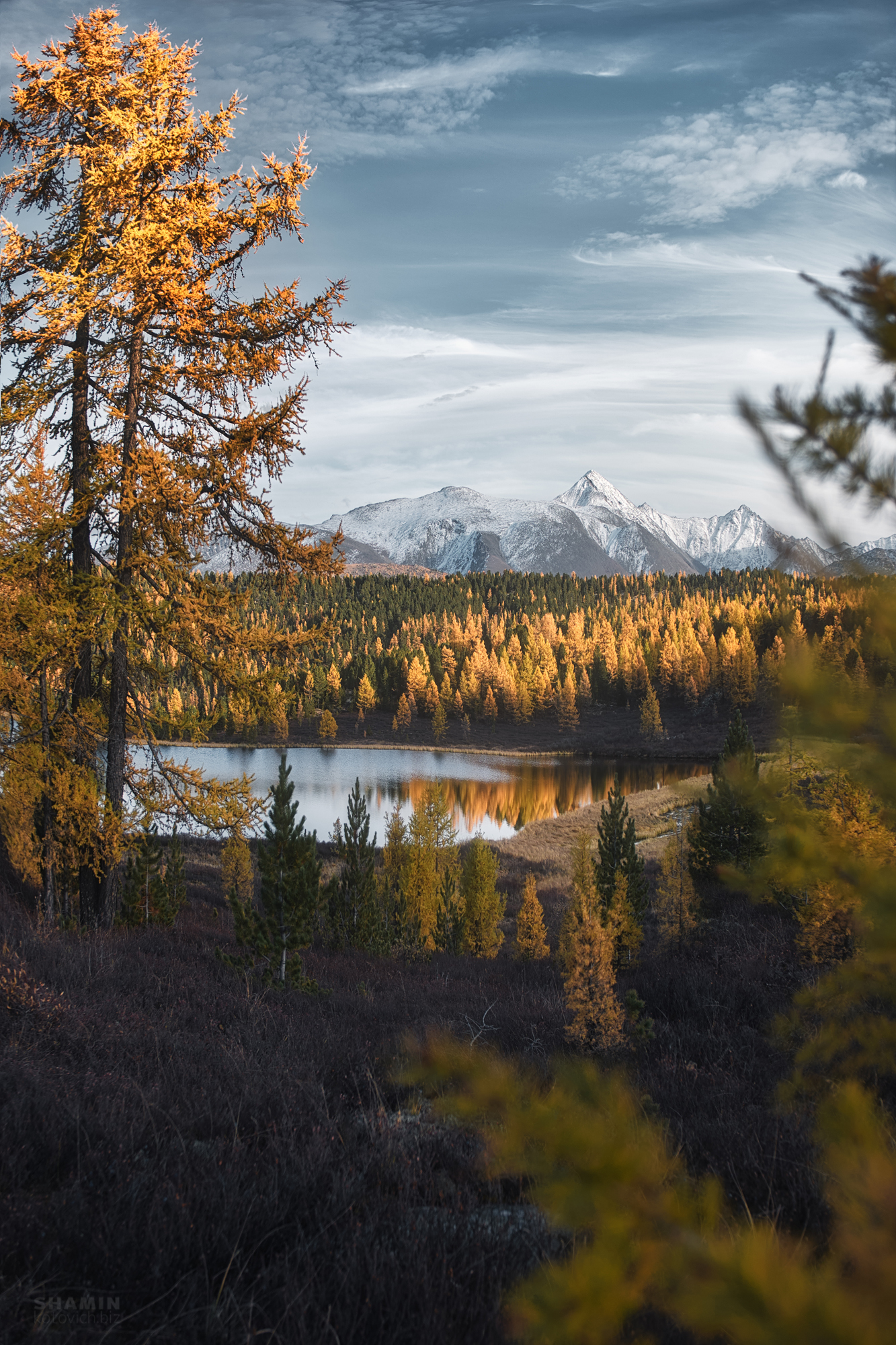 , Константин Шамин