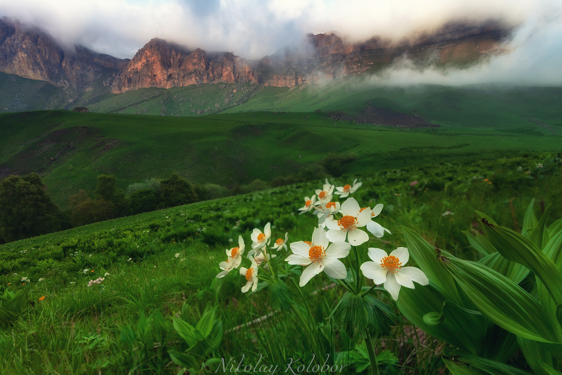 , Колобов Николай